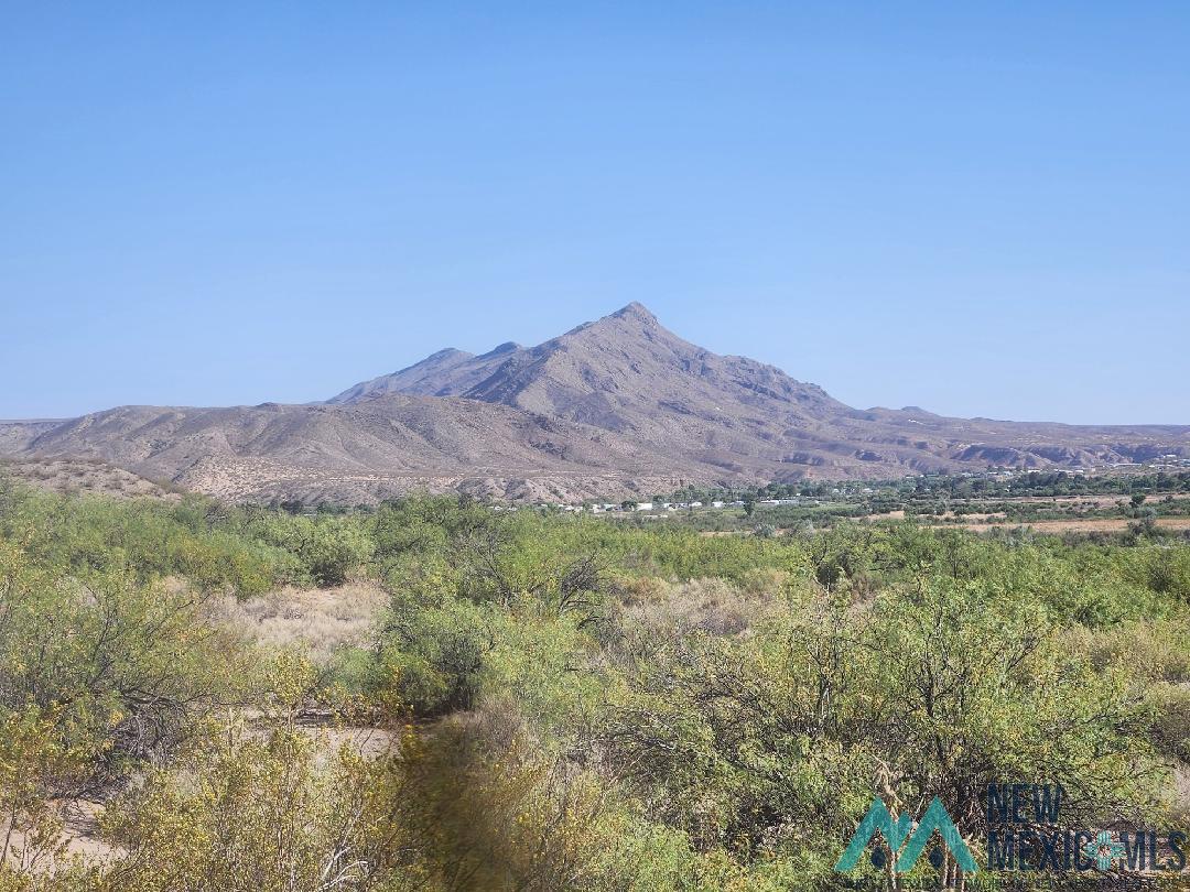 301 Stagecoach Drive, Elephant Butte, Texas image 4