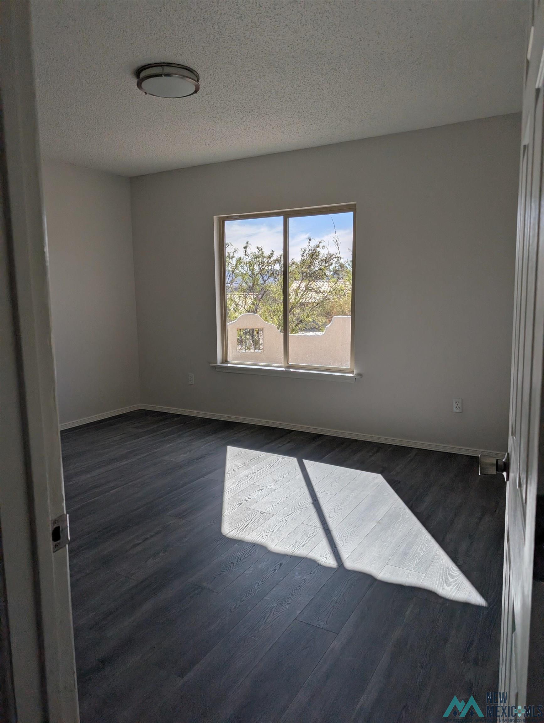 301 Stagecoach Drive, Elephant Butte, Texas image 10