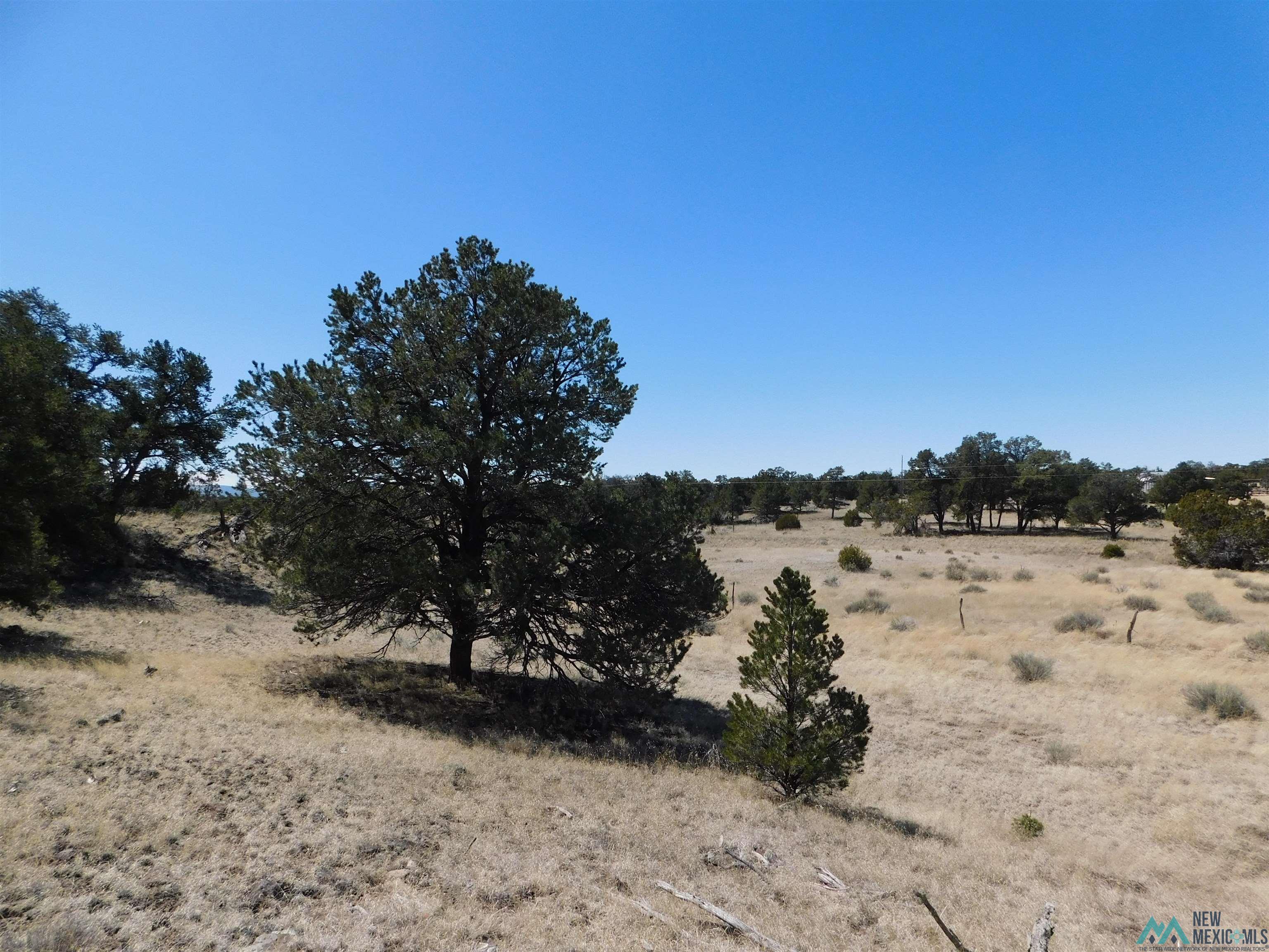 LOT 171 Hopi Drive, Quemado, New Mexico image 18