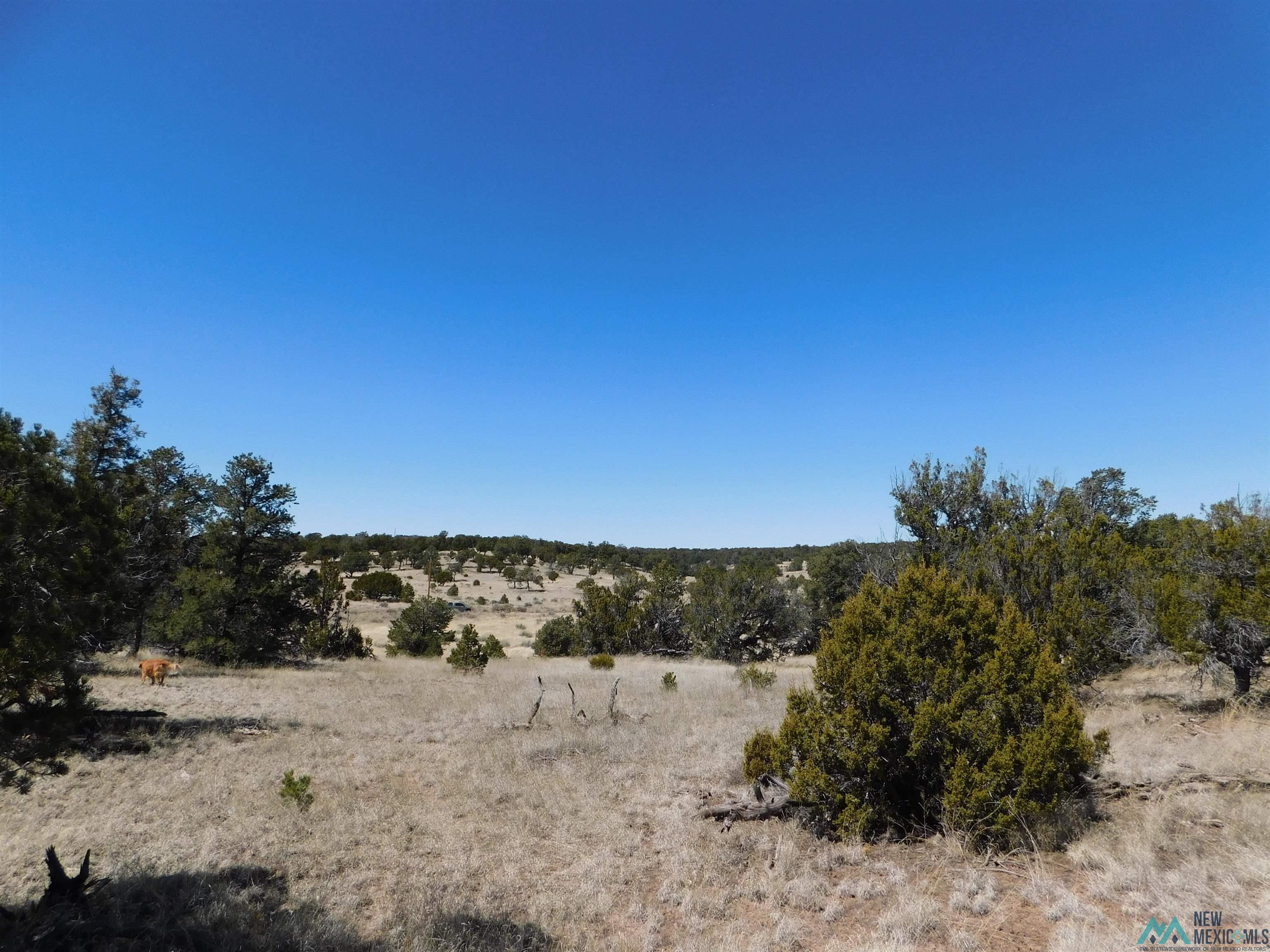 LOT 171 Hopi Drive, Quemado, New Mexico image 17