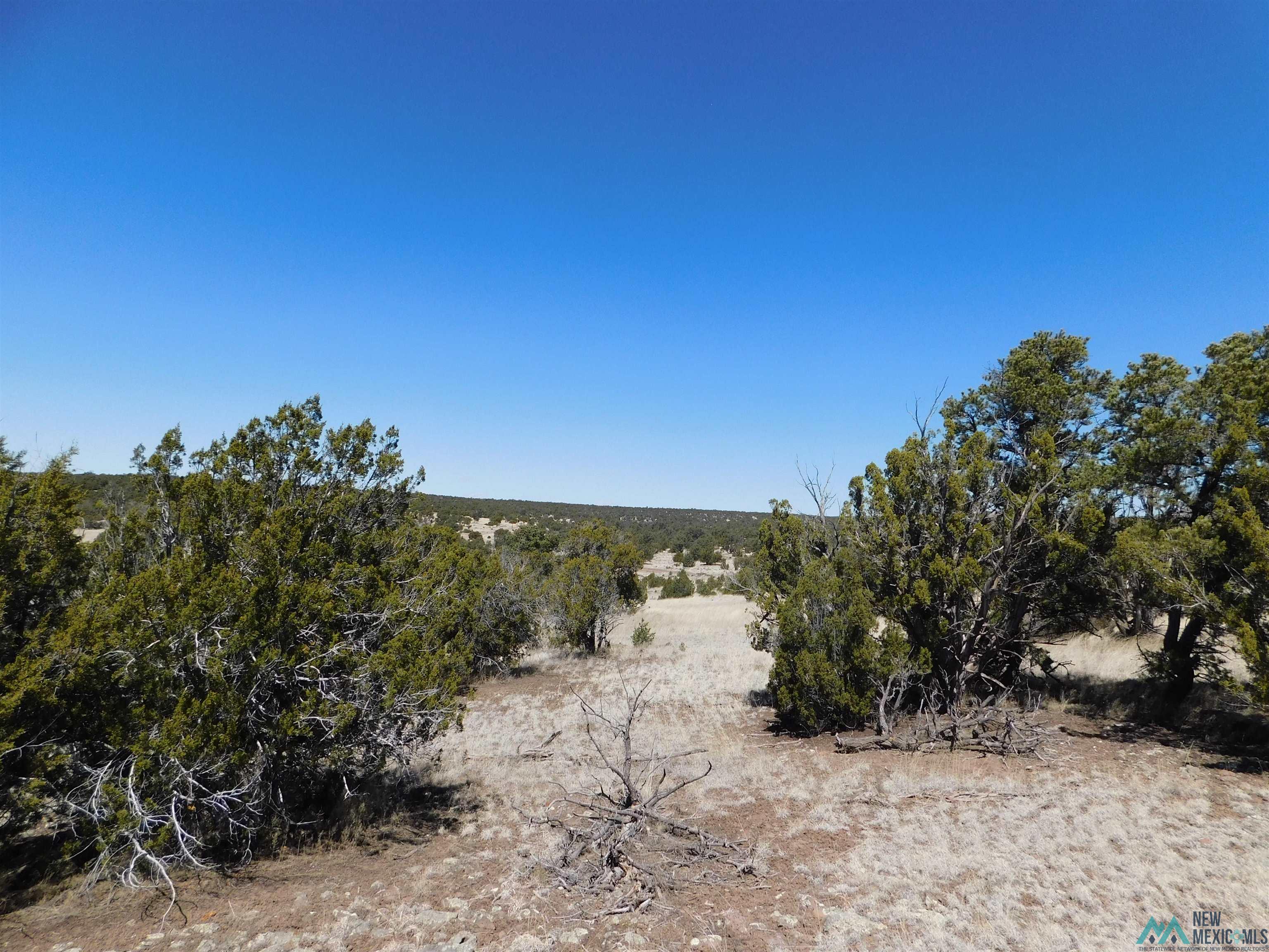 LOT 171 Hopi Drive, Quemado, New Mexico image 13