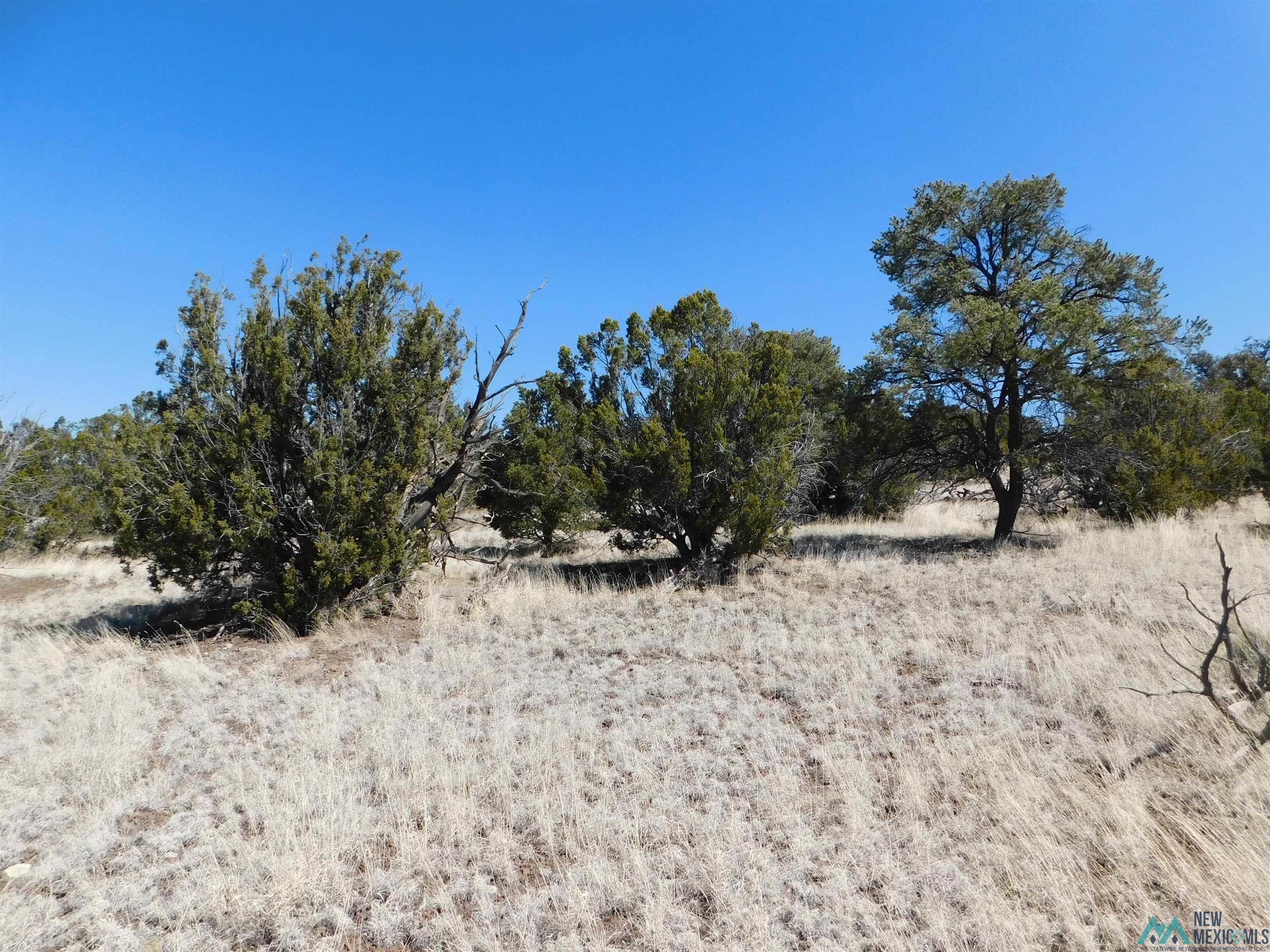 LOT 171 Hopi Drive, Quemado, New Mexico image 9