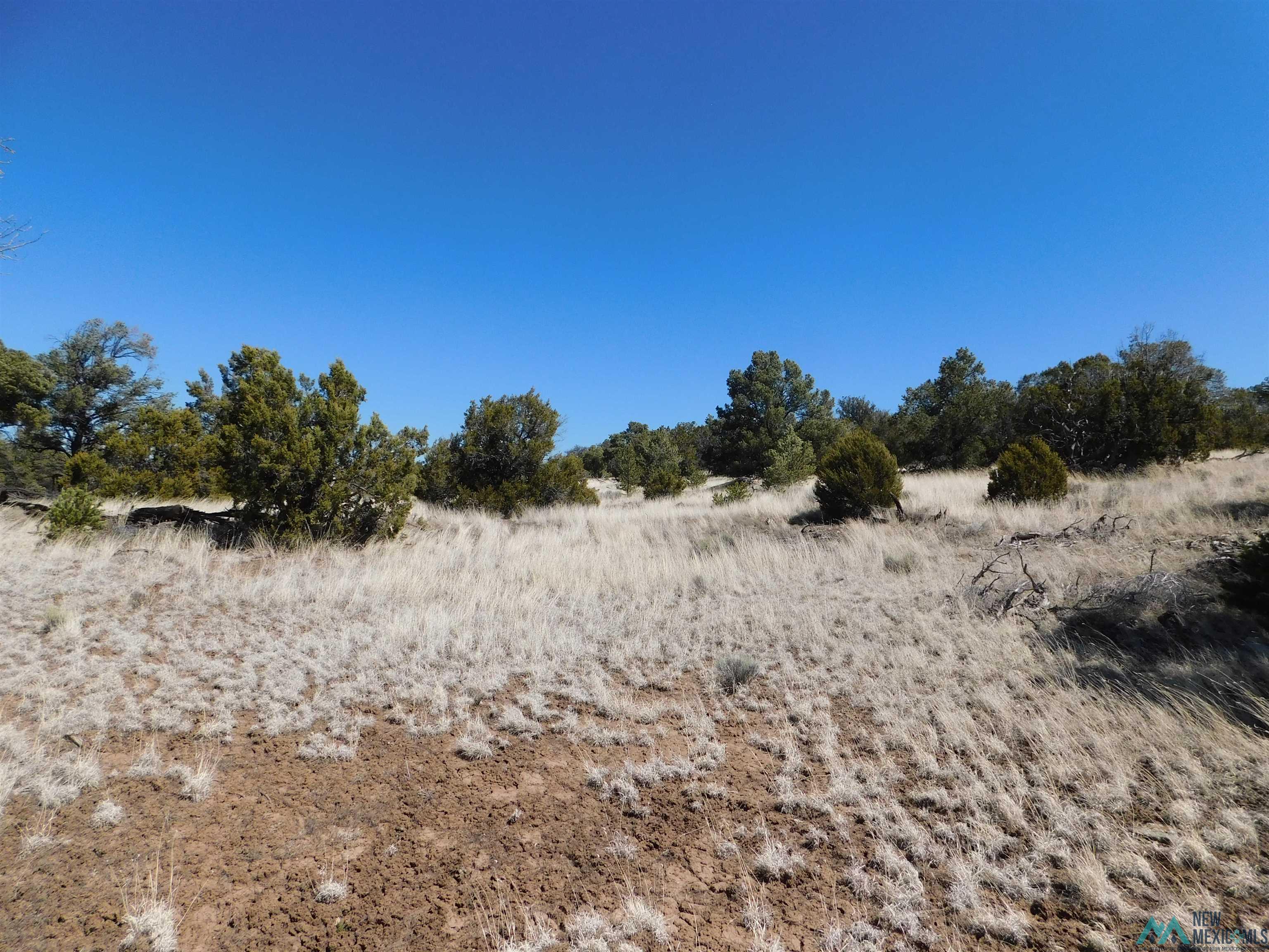 LOT 171 Hopi Drive, Quemado, New Mexico image 8