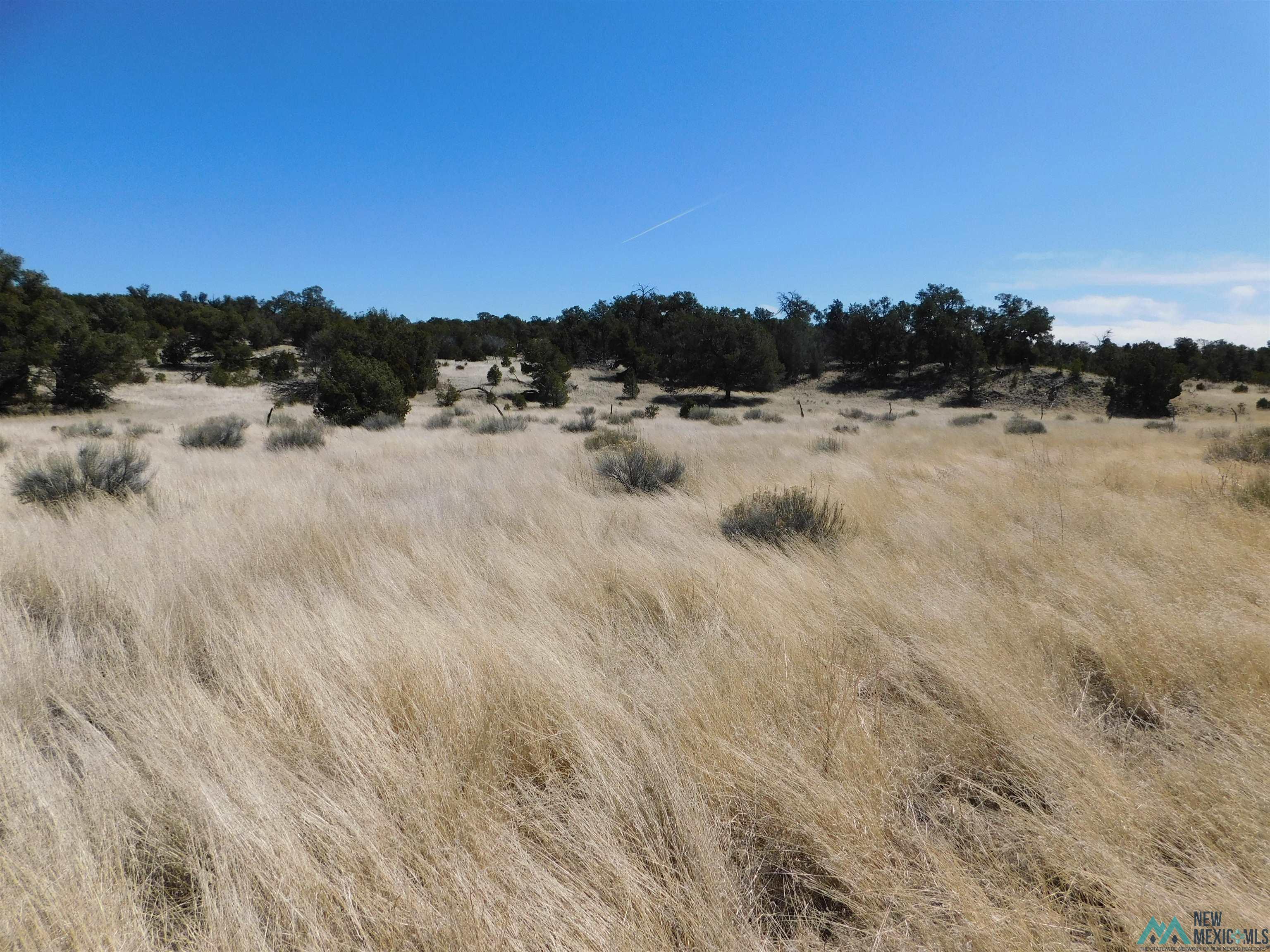 LOT 171 Hopi Drive, Quemado, New Mexico image 7