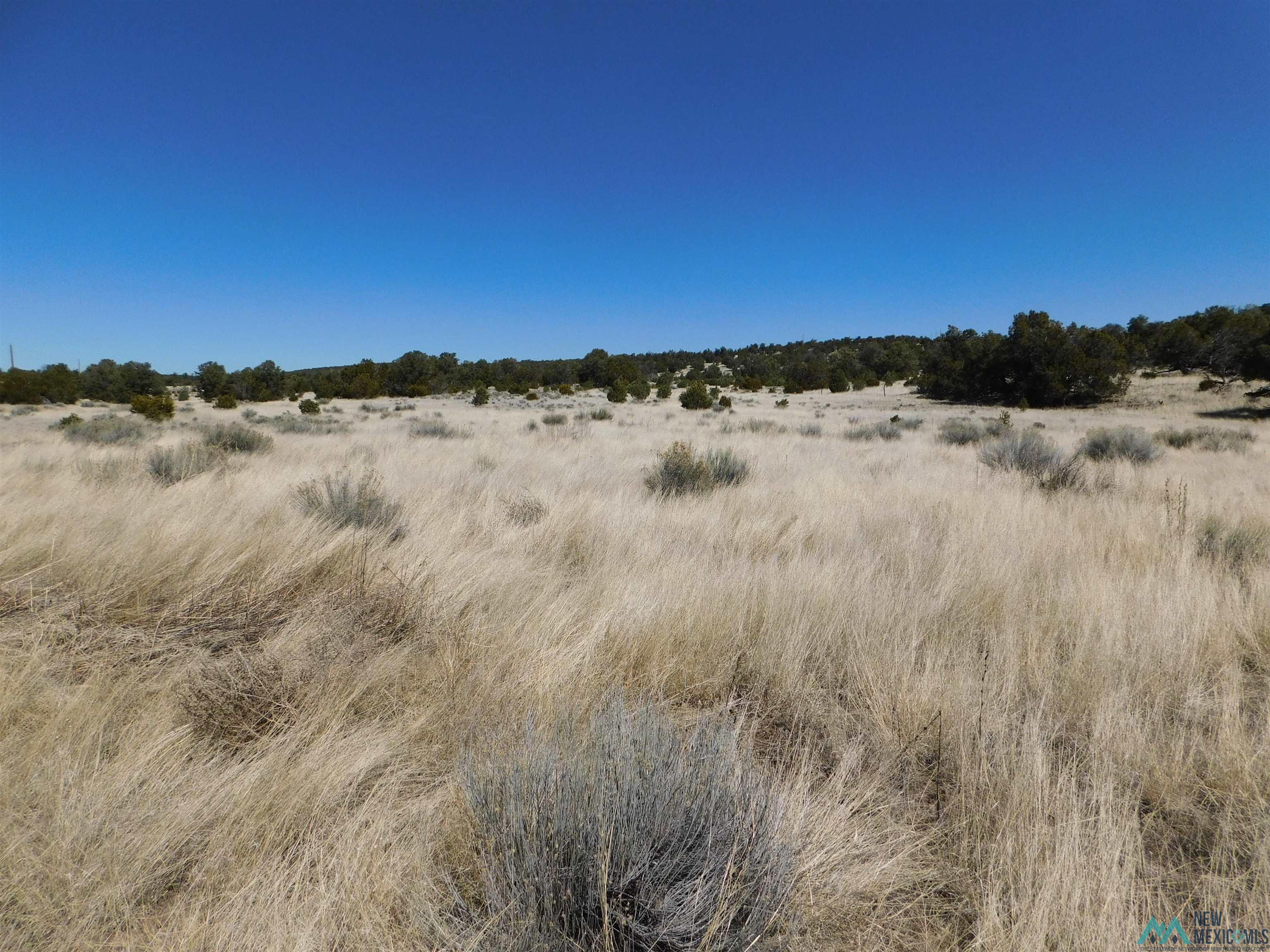 LOT 171 Hopi Drive, Quemado, New Mexico image 6