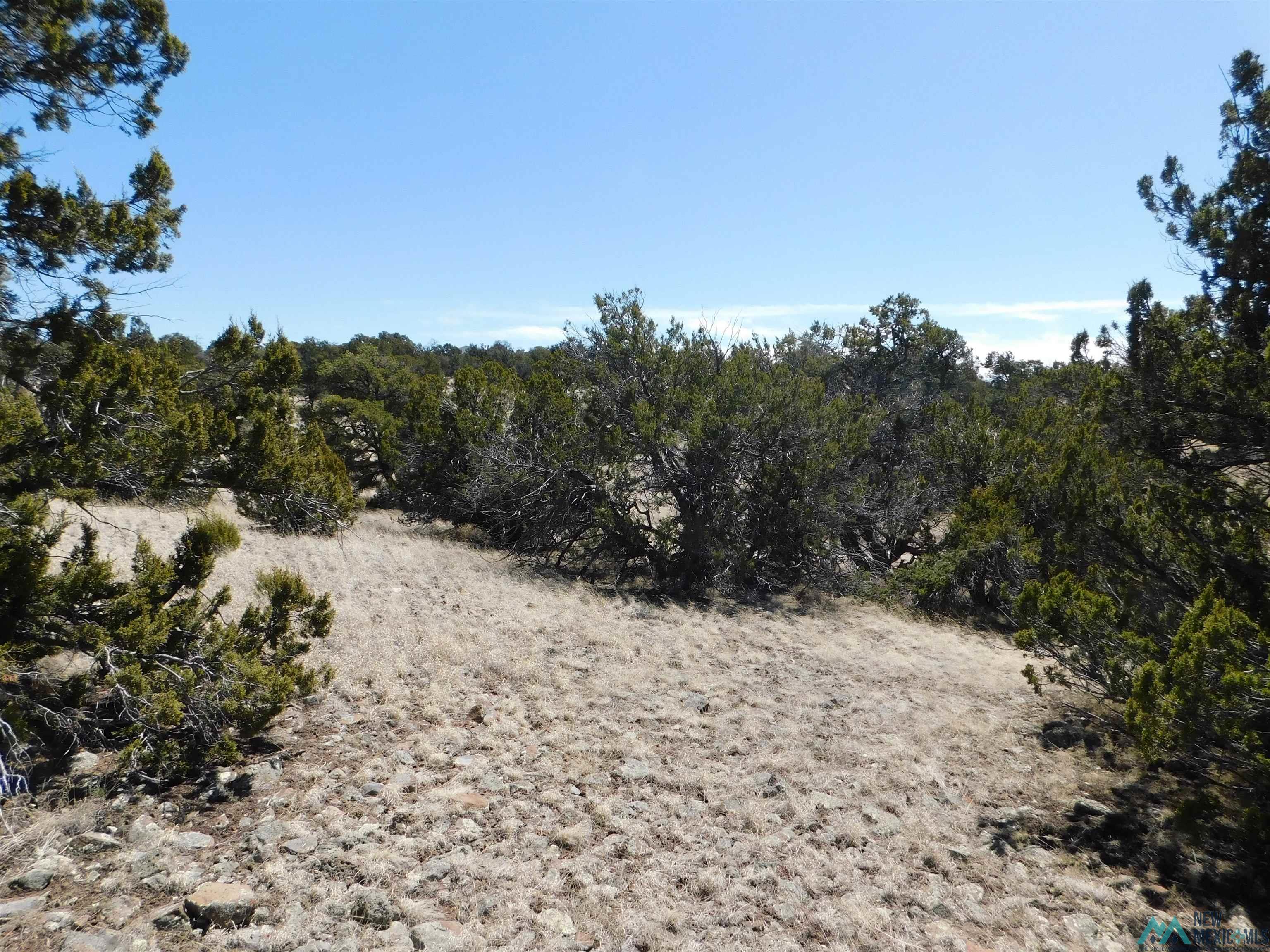 LOT 171 Hopi Drive, Quemado, New Mexico image 15