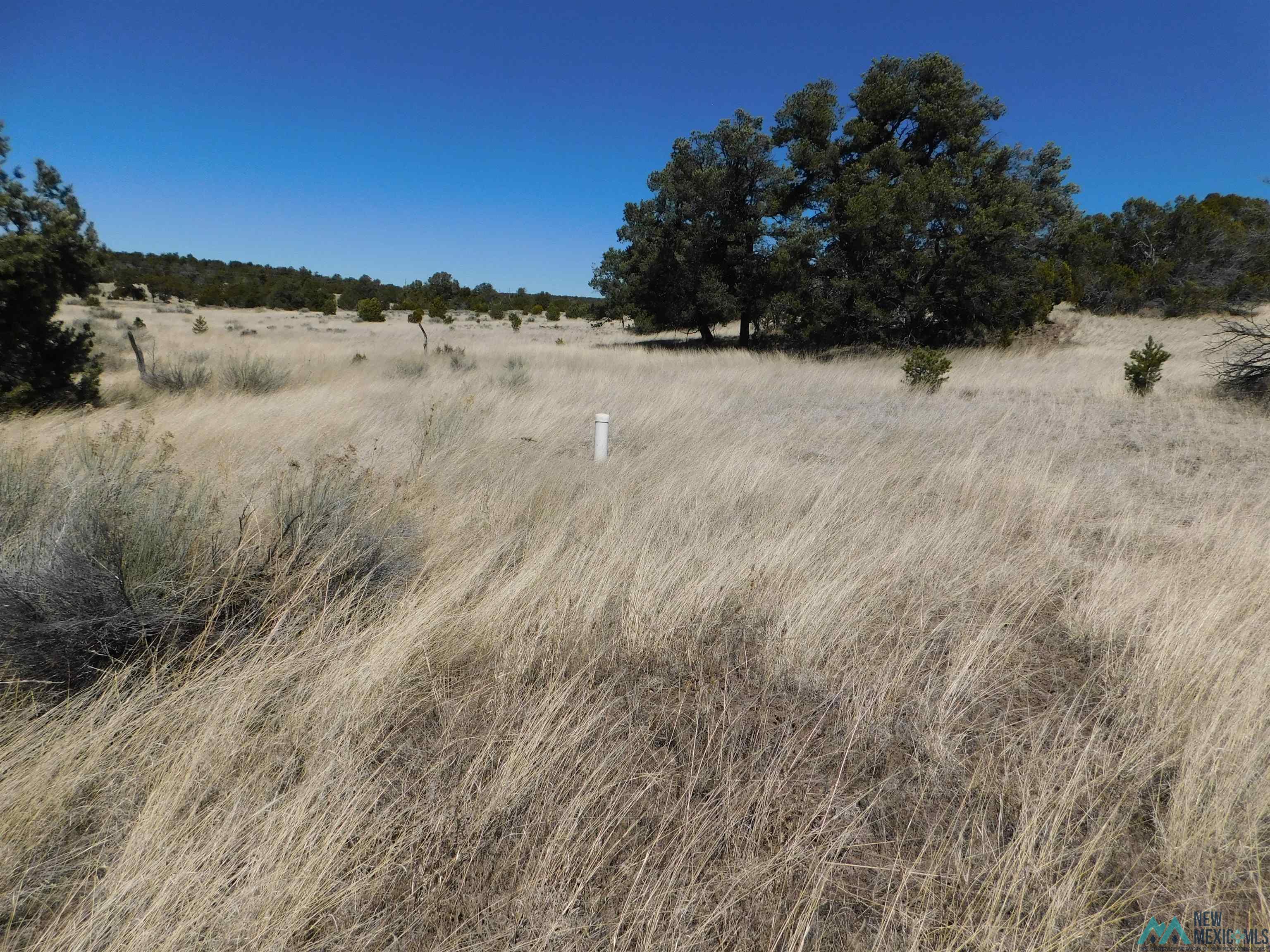 LOT 171 Hopi Drive, Quemado, New Mexico image 4