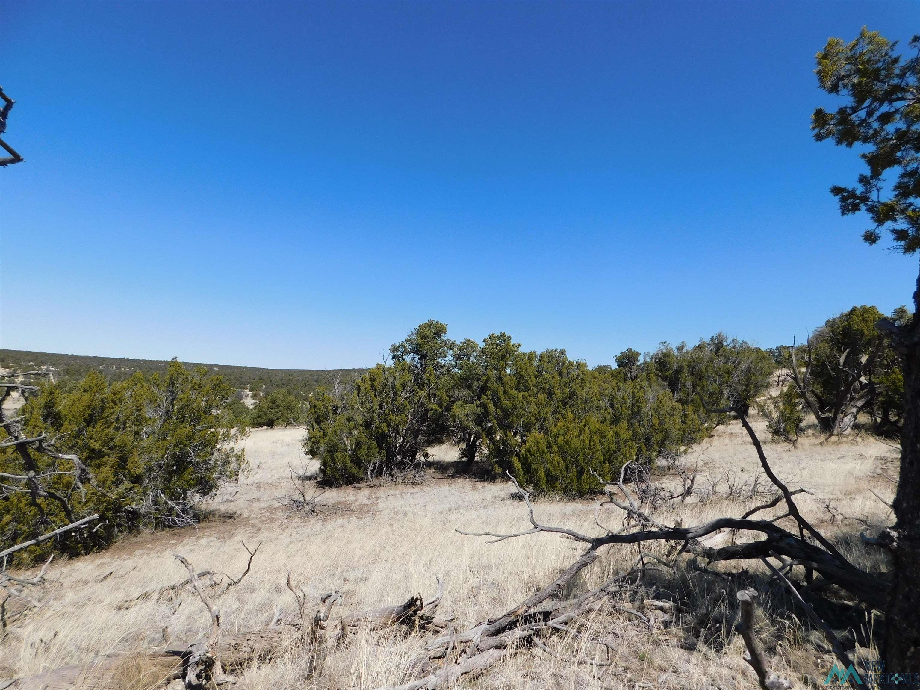 LOT 171 Hopi Drive, Quemado, New Mexico image 14