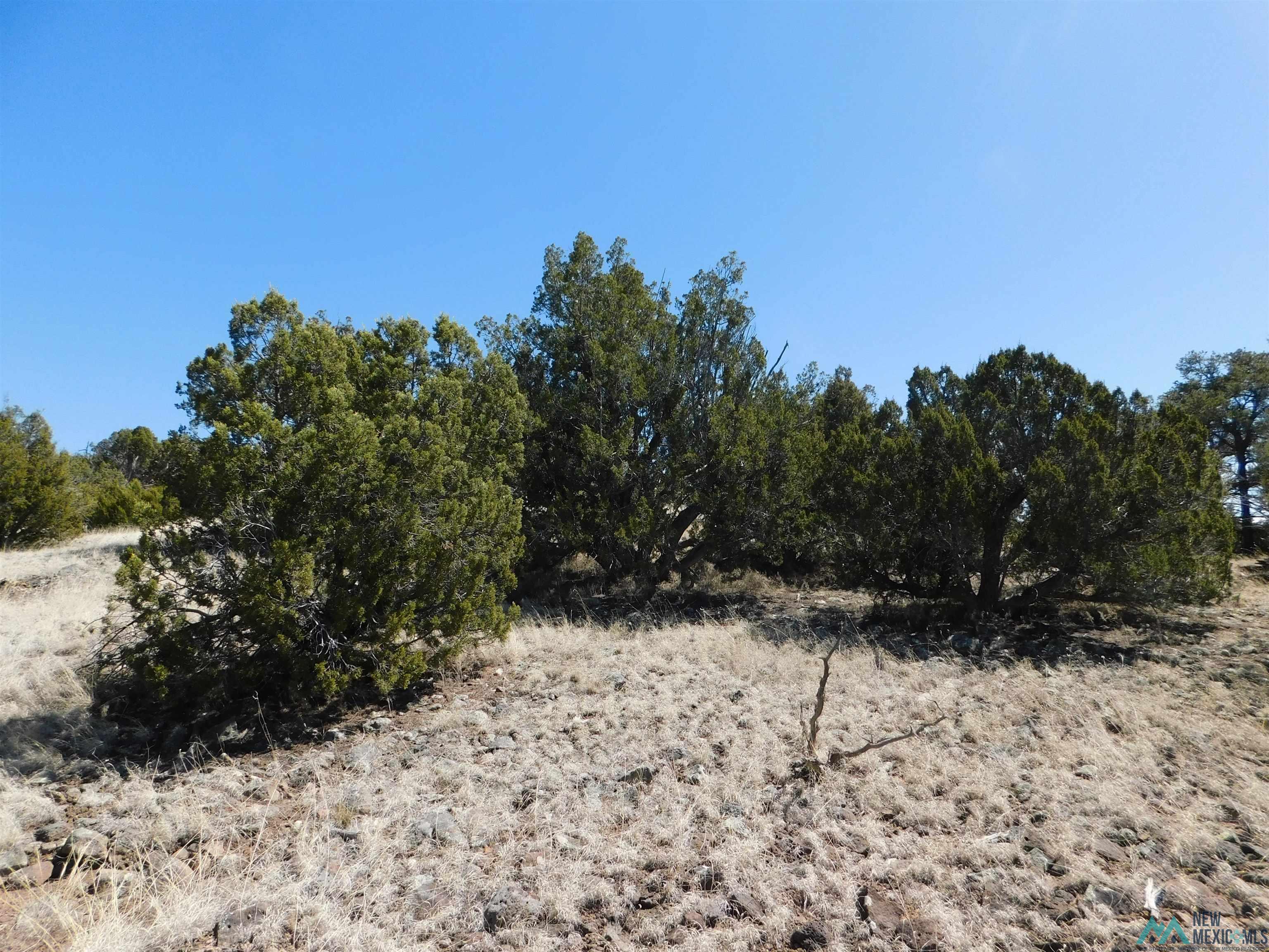 LOT 171 Hopi Drive, Quemado, New Mexico image 12