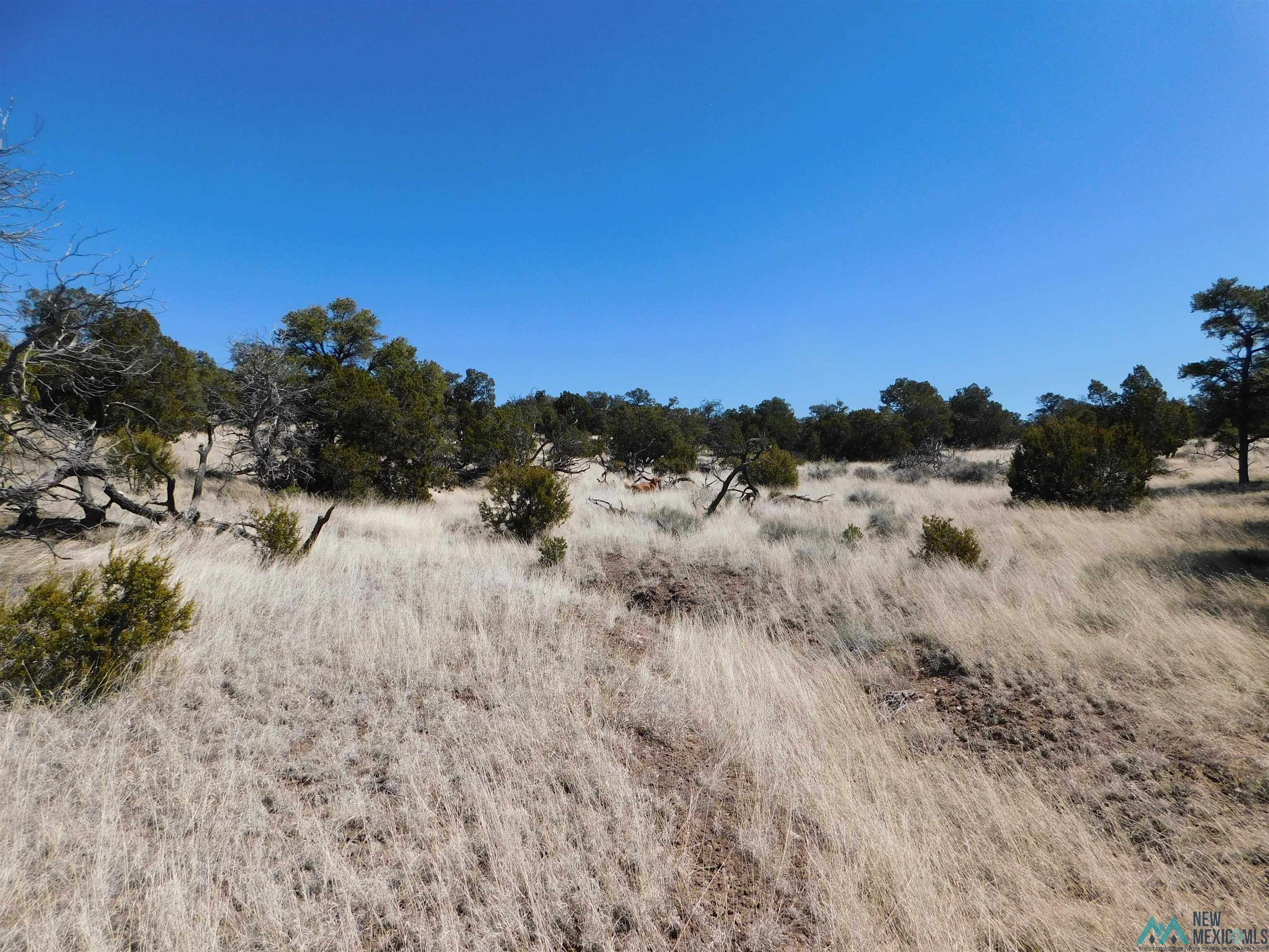 LOT 171 Hopi Drive, Quemado, New Mexico image 16