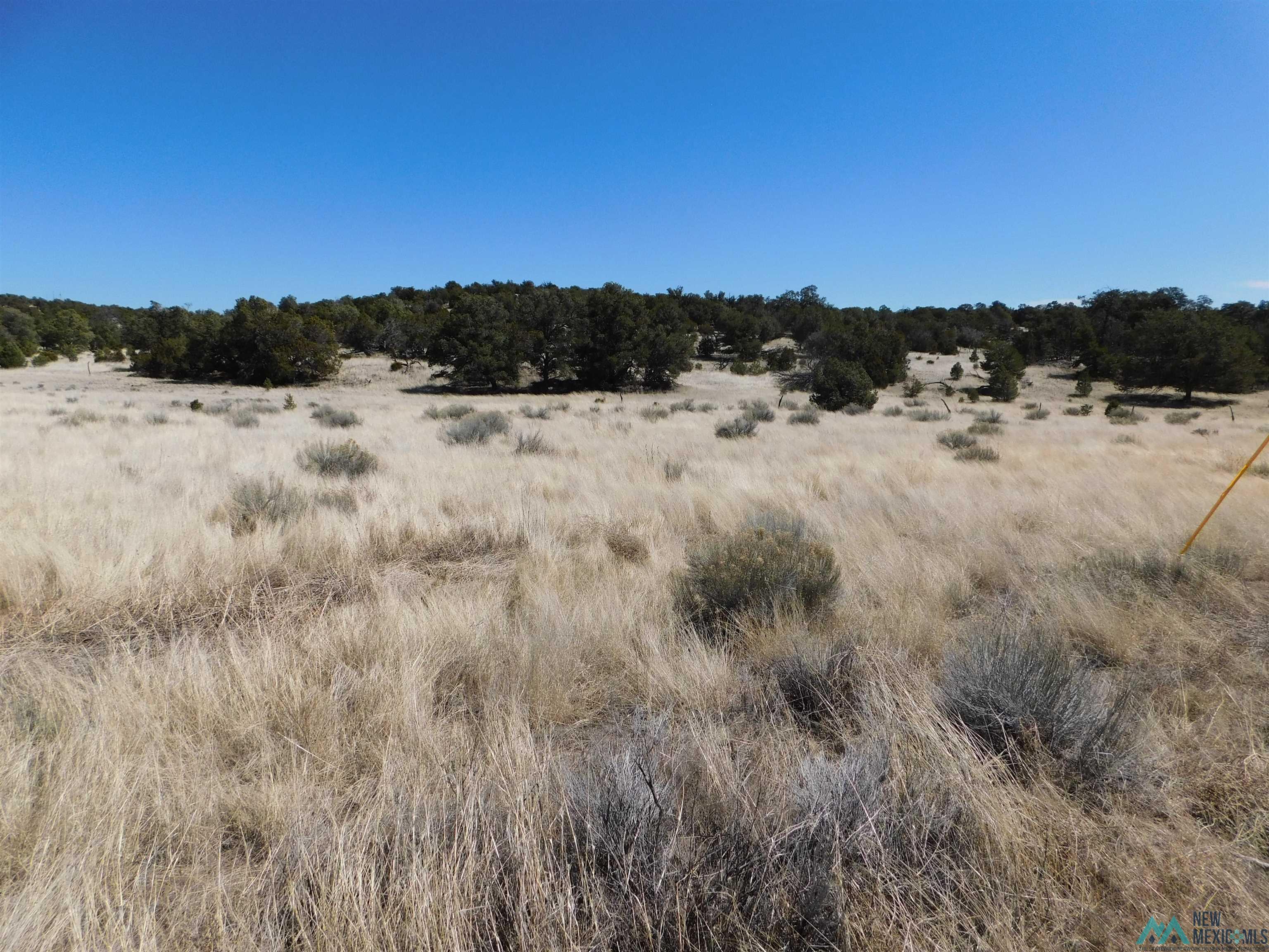 LOT 171 Hopi Drive, Quemado, New Mexico image 5