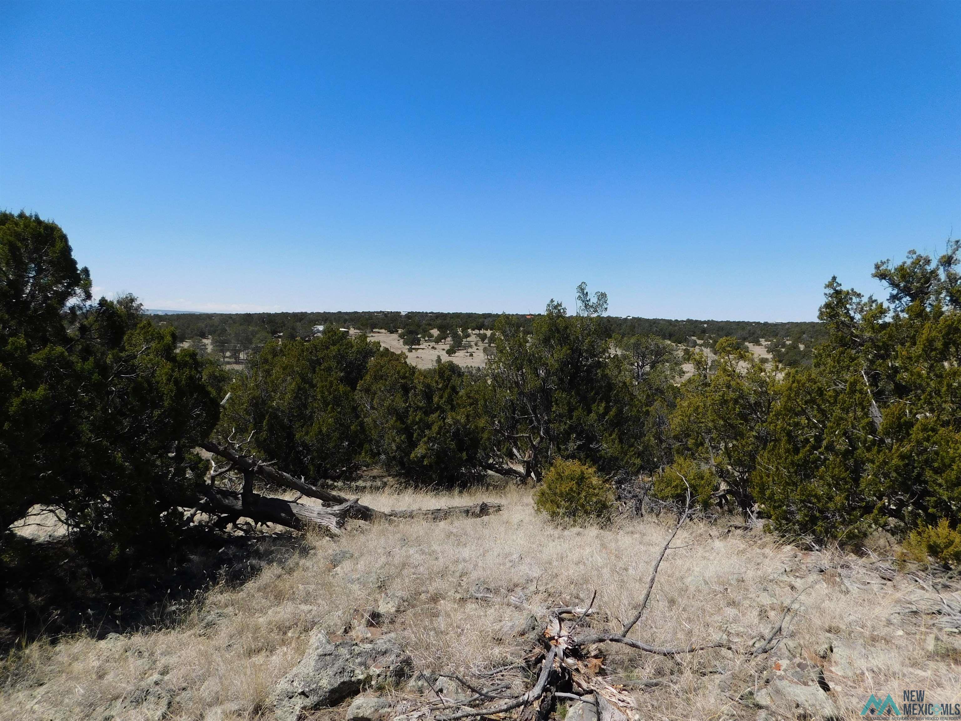 LOT 171 Hopi Drive, Quemado, New Mexico image 2