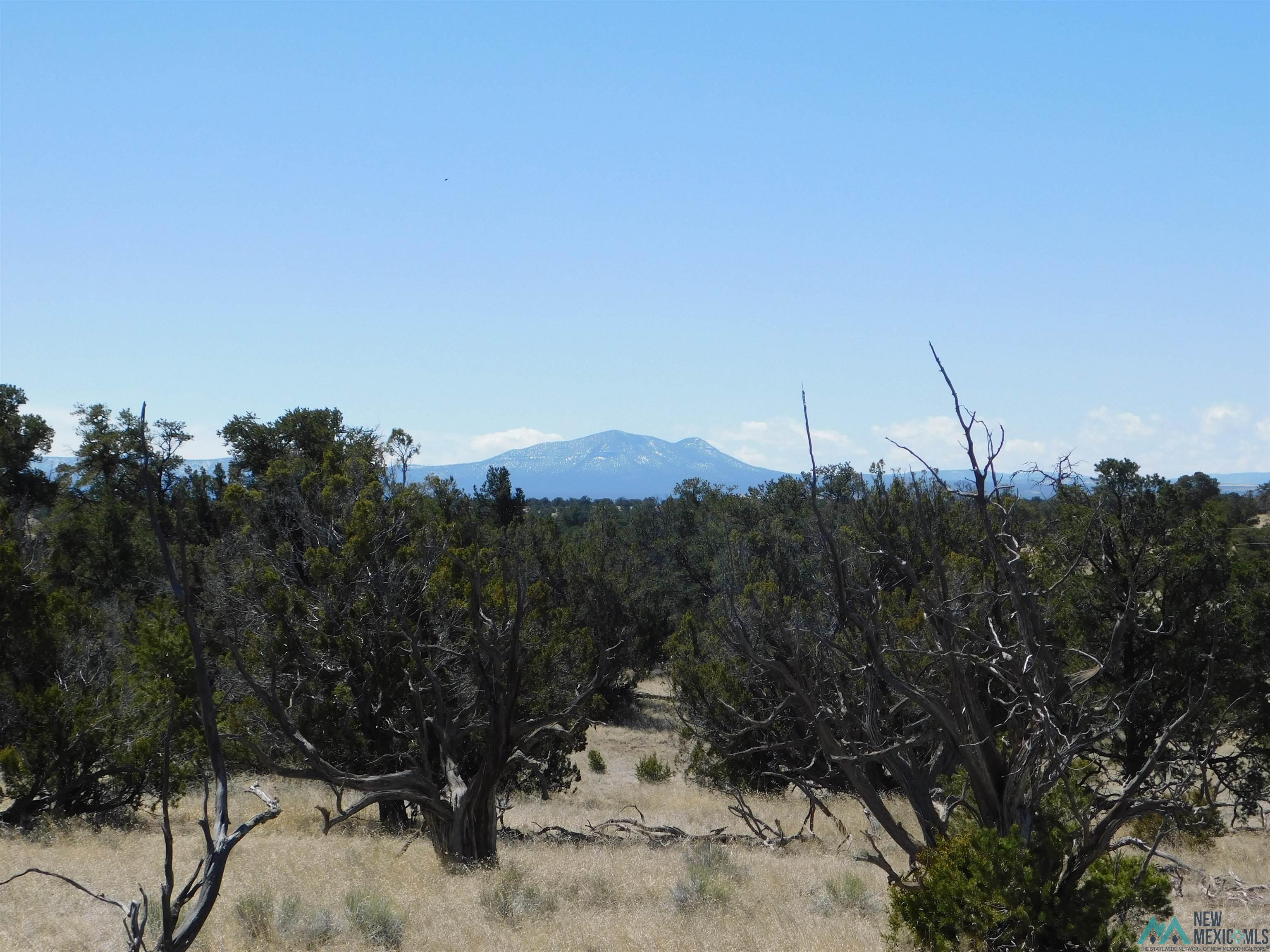 LOT 171 Hopi Drive, Quemado, New Mexico image 11