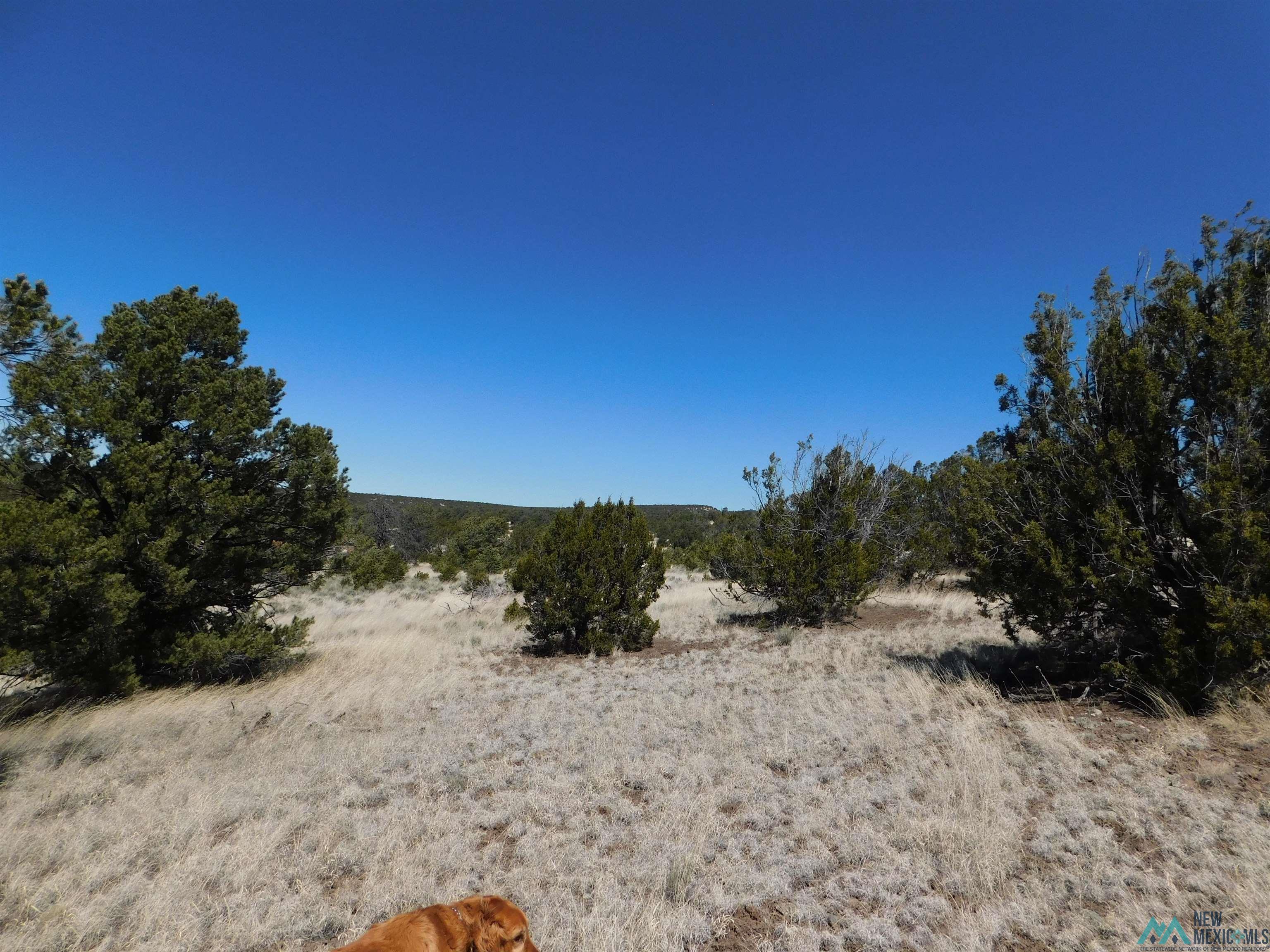 LOT 171 Hopi Drive, Quemado, New Mexico image 10