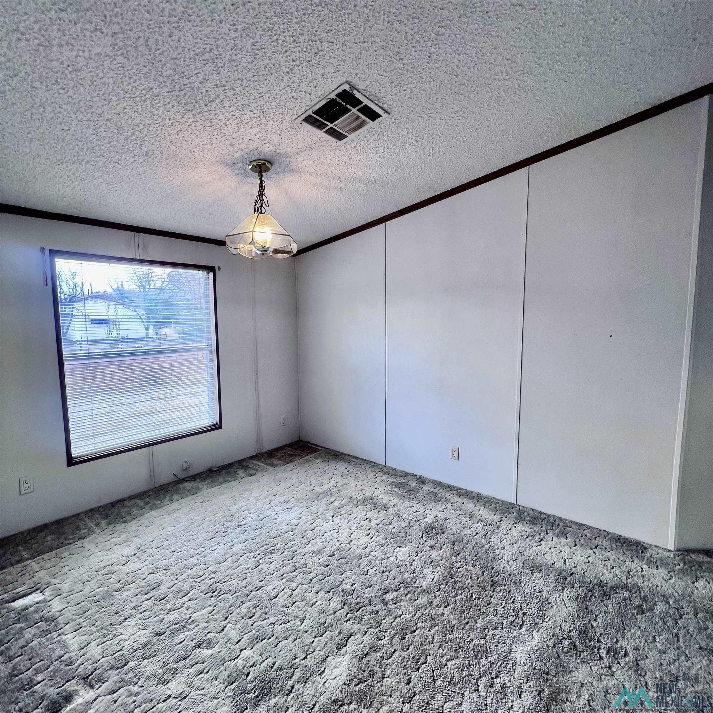 202 Ploen Street, Truth Or Consequences, Texas image 46