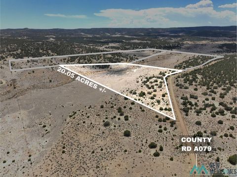 Vacant Land For Sale - XX Slurry Road<br/> Pie Town, NM 87827