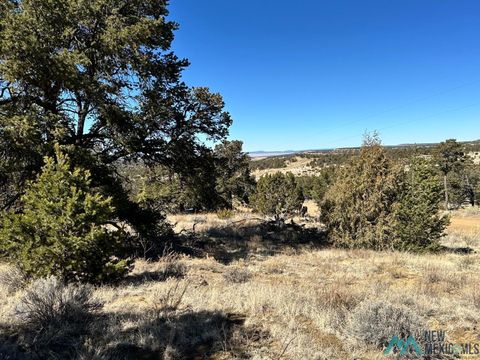 Vacant Land For Sale - XX Latigo Loop<br/> Pie Town, NM 87827