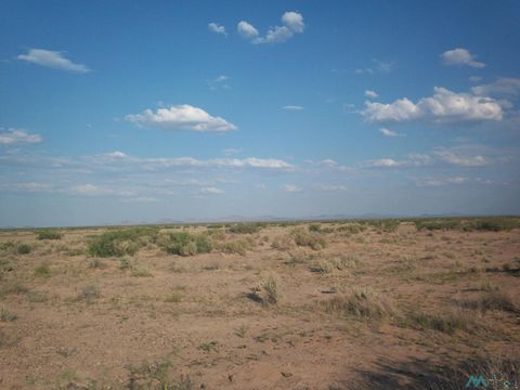 Vacant Land For Sale - XXXX San Pablo Road Se Road<br/> Deming, NM 88030