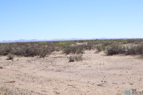 Vacant Land For Sale - Monte Vista Rd Se<br/> Luna County, Deming, NM 88030