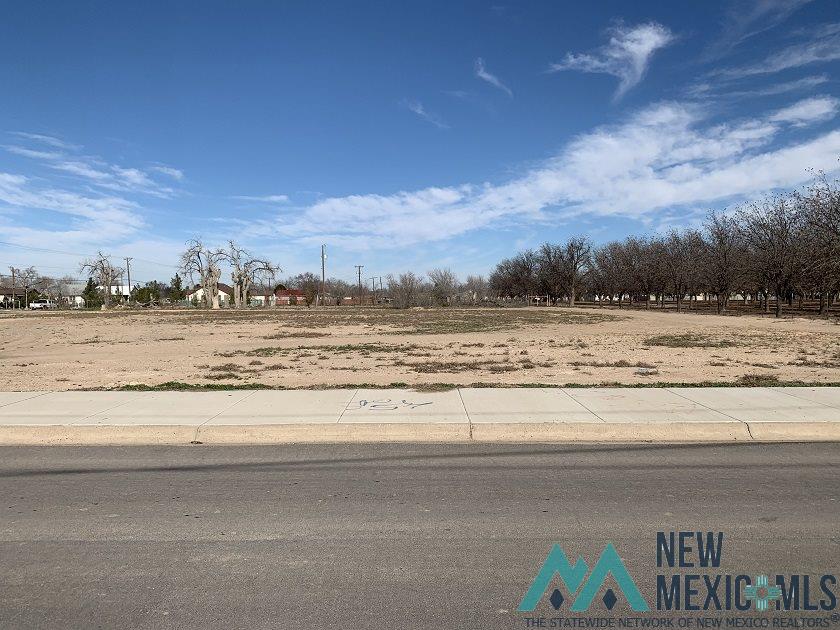 1803 E Bland Avenue, Roswell, New Mexico image 2