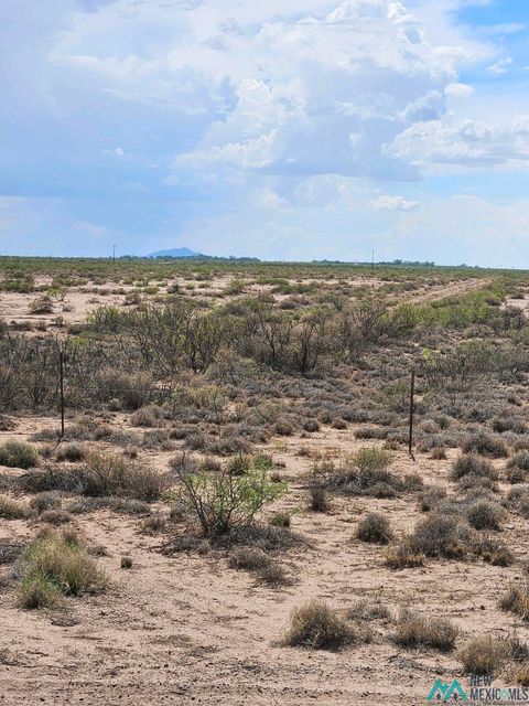 Vacant Land For Sale - XXXX Solindo Rd Ne<br/> Deming, NM 88030