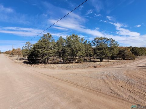 Vacant Land For Sale - XX Homestead Trail<br/> Datil, NM 87821