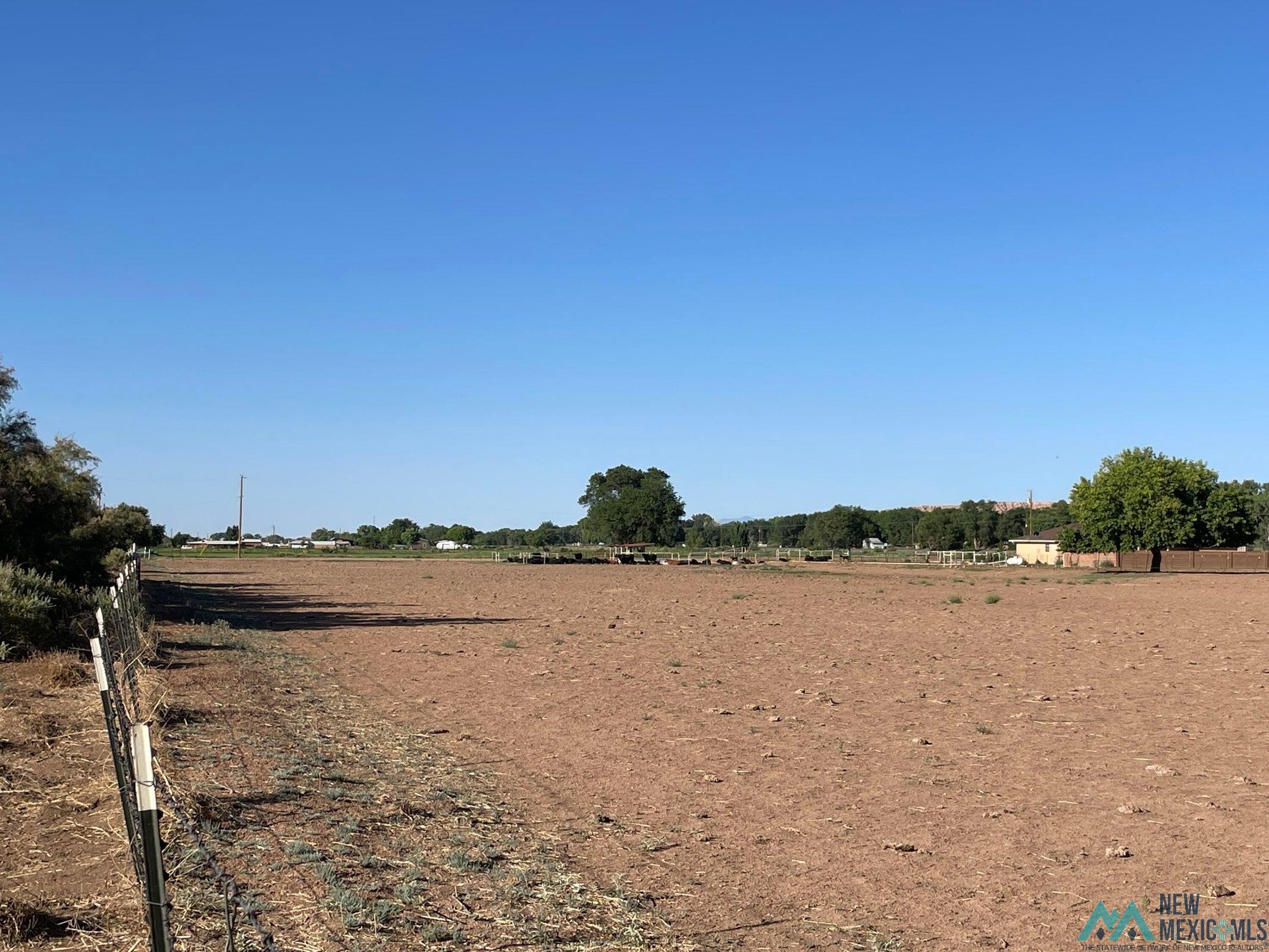 Armijo Road, Belen, New Mexico image 4