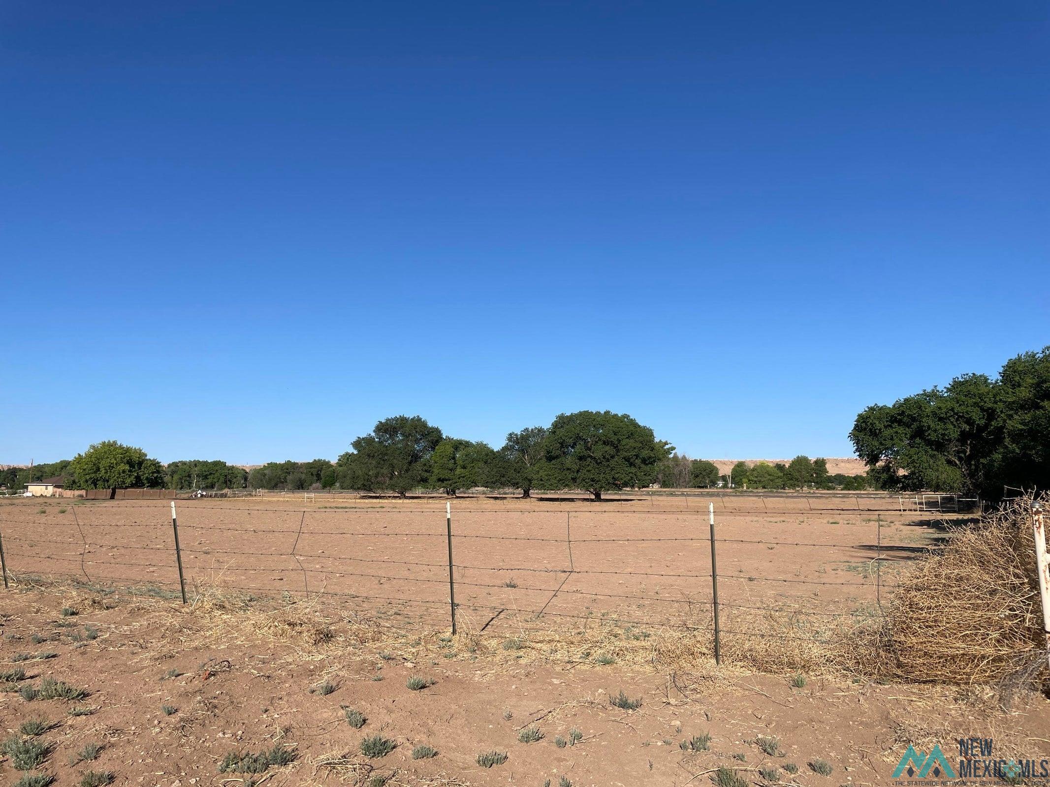 Armijo Road, Belen, New Mexico image 3