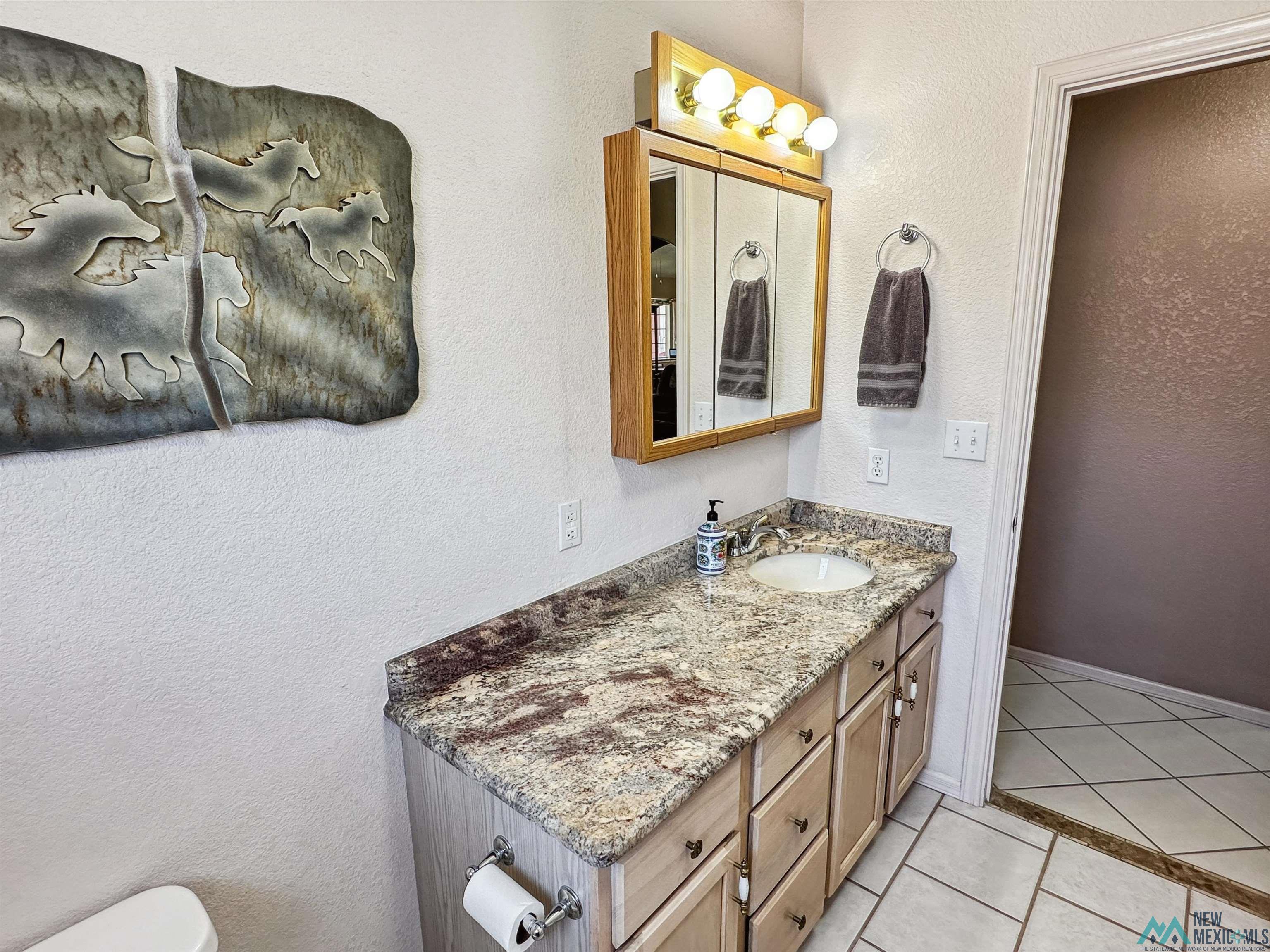 4707 Caballero Drive, Carlsbad, Texas image 29