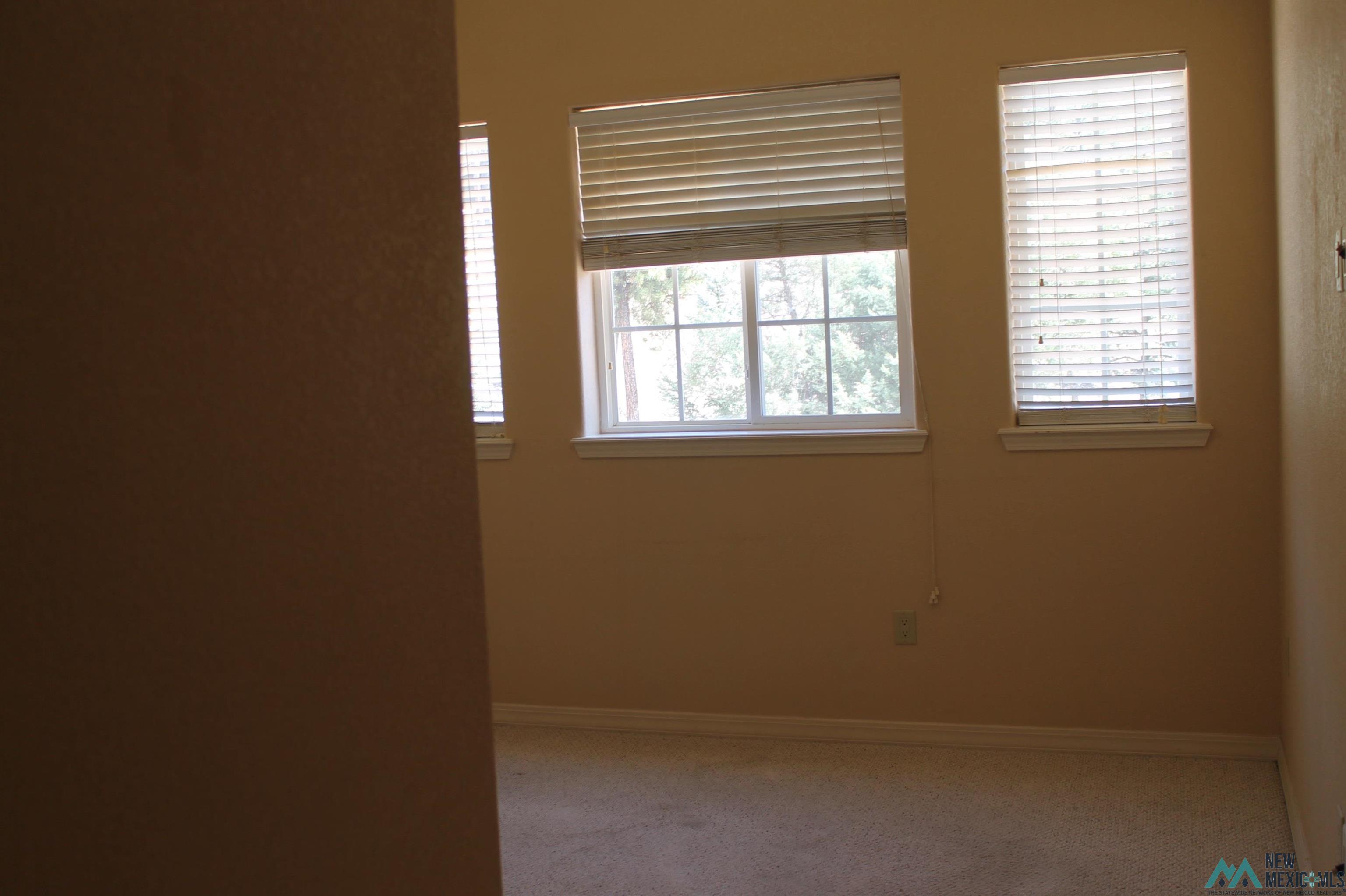 101 Unit 4B Racquet Place, Ruidoso, New Mexico image 26