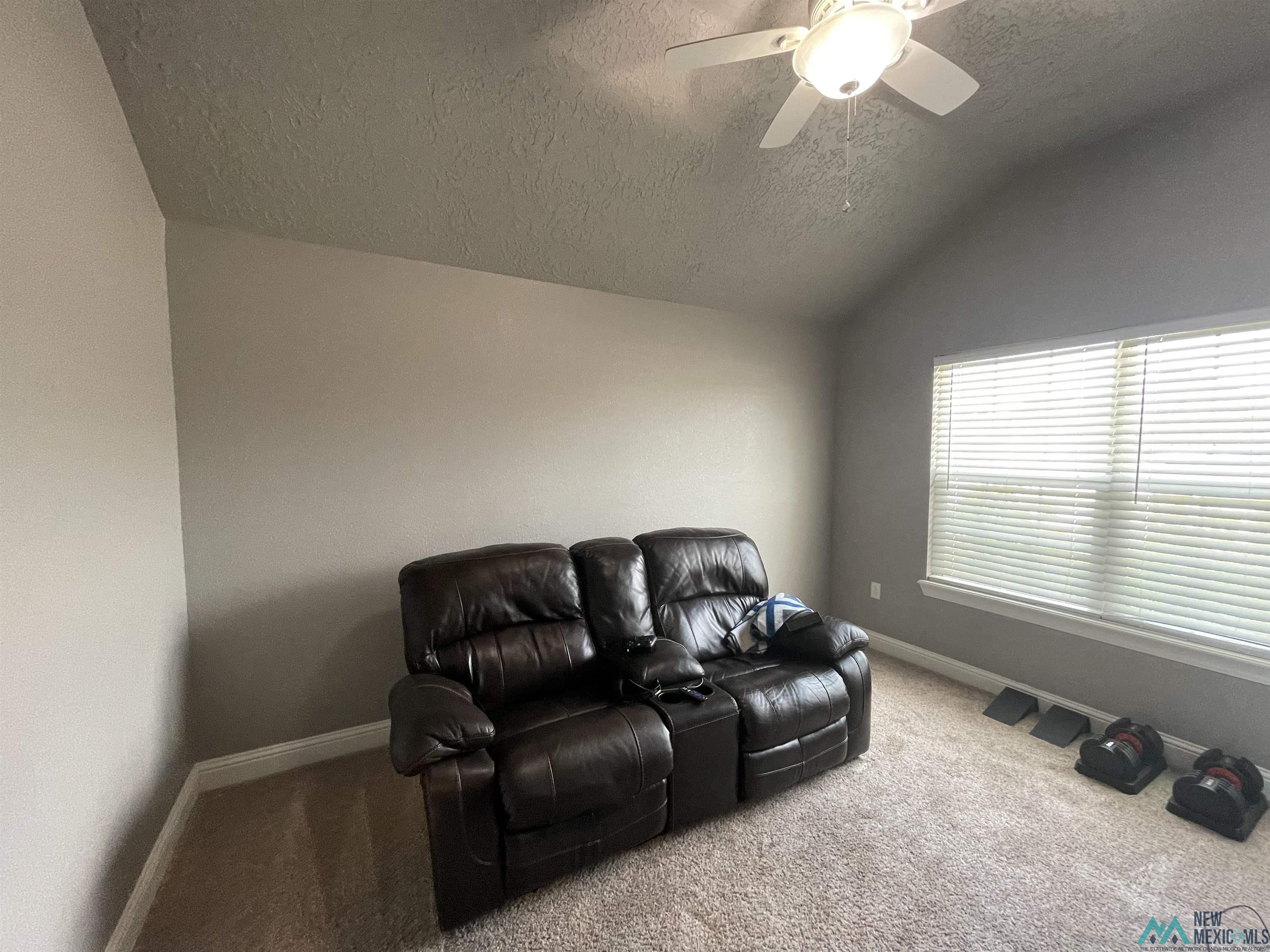 2517 Joes Lane, Clovis, Texas image 10