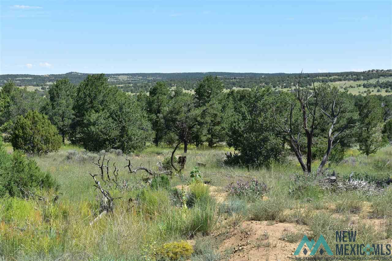 58 Ponderosa Road, Pie Town, New Mexico image 18