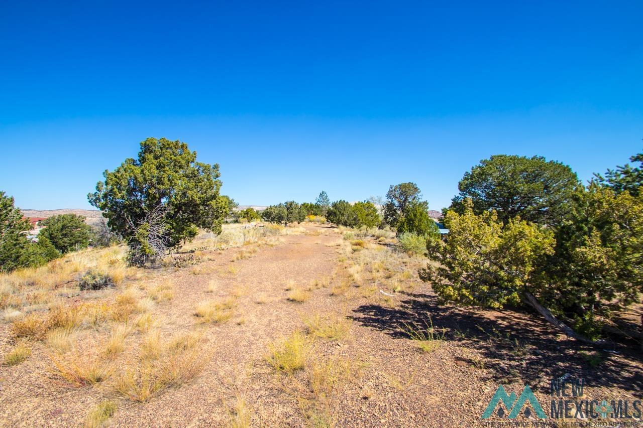 2001 Plateau Drive, Gallup, Texas image 36