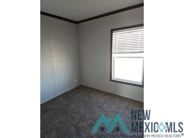 216 W Cottonwood Lane, Hobbs, New Mexico image 10