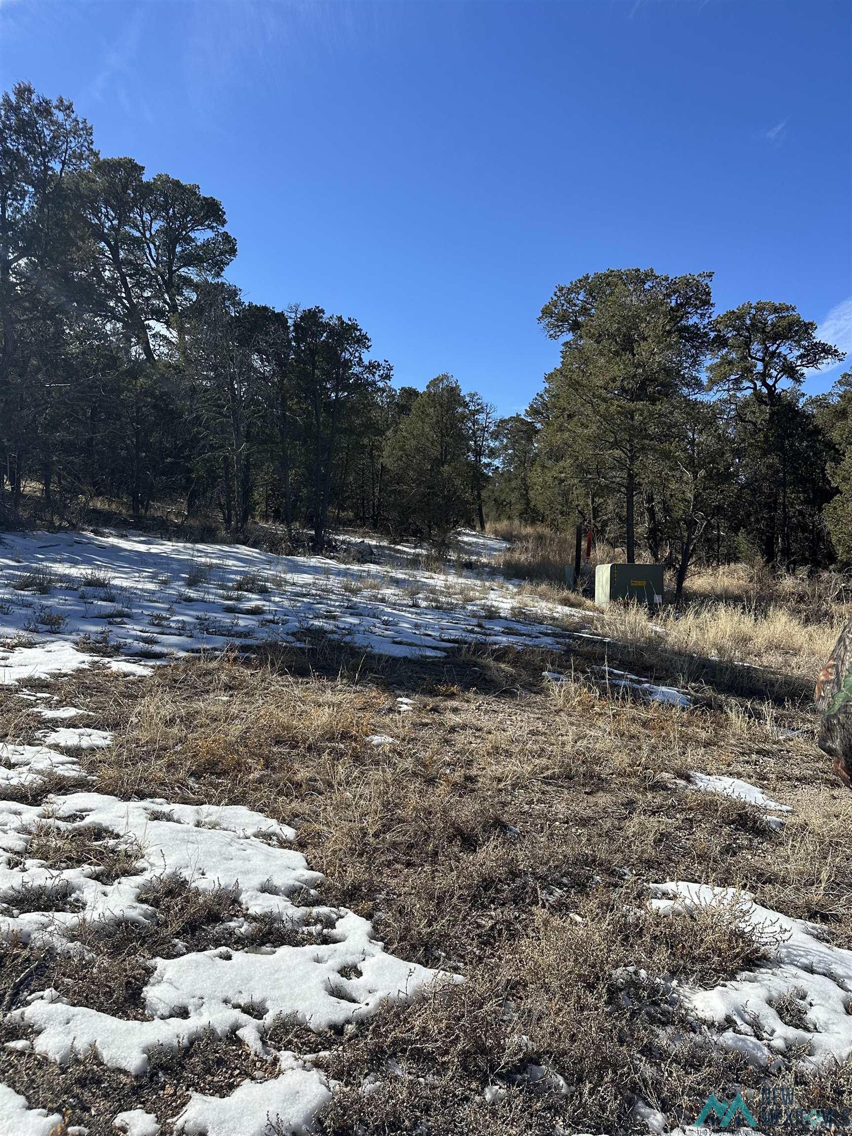 Lot 1A Tierra De Dios, Rowe, Texas image 14