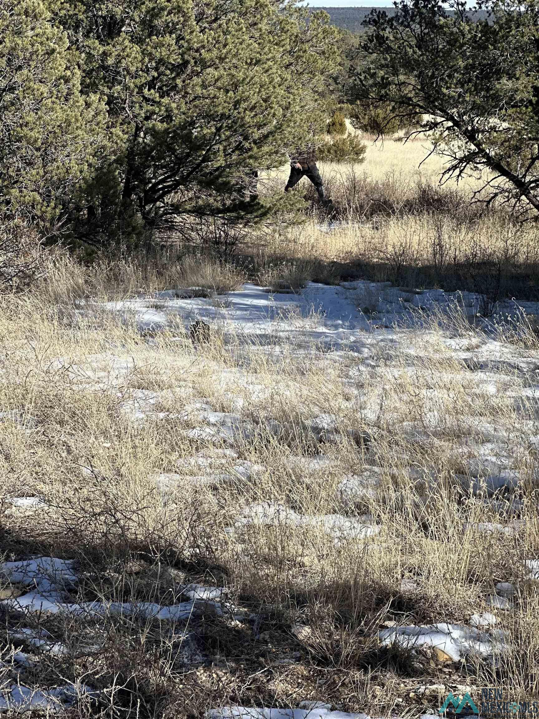 Lot 1A Tierra De Dios, Rowe, Texas image 11