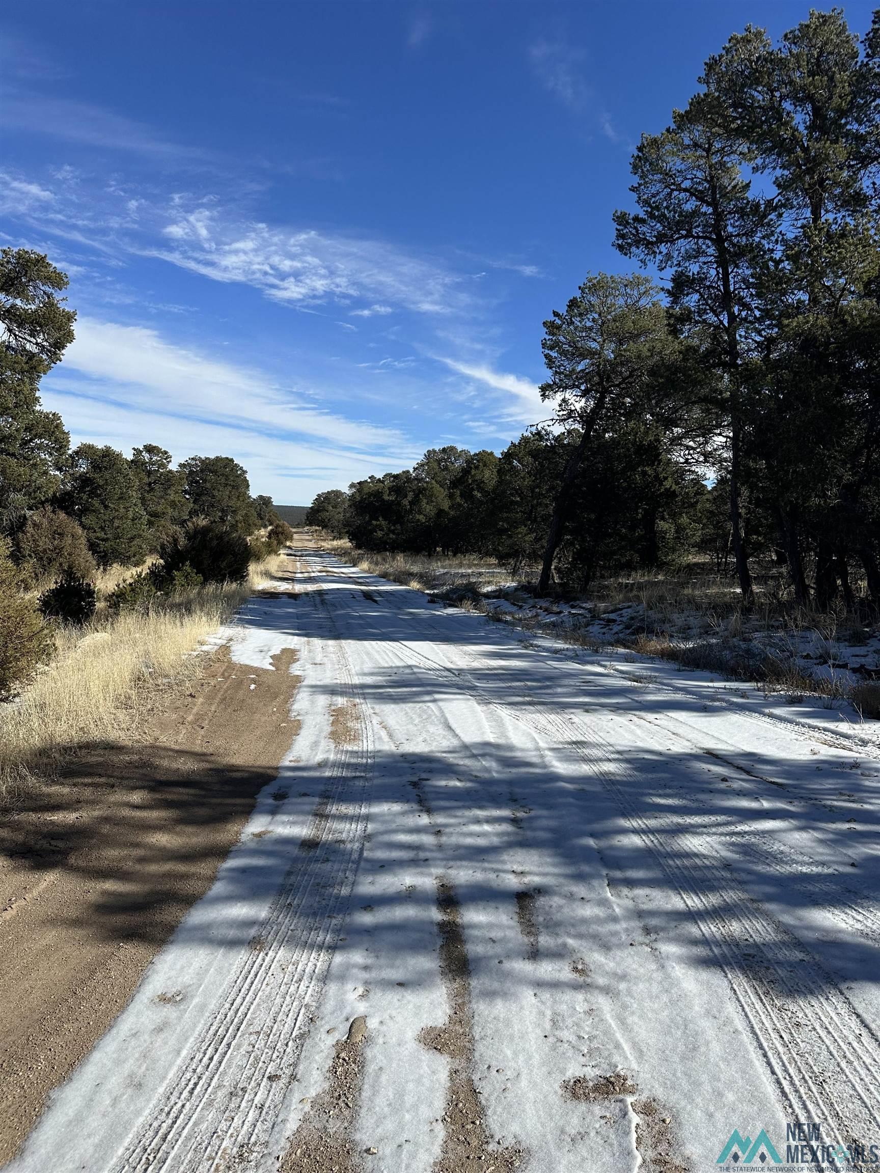 Lot 1A Tierra De Dios, Rowe, Texas image 2