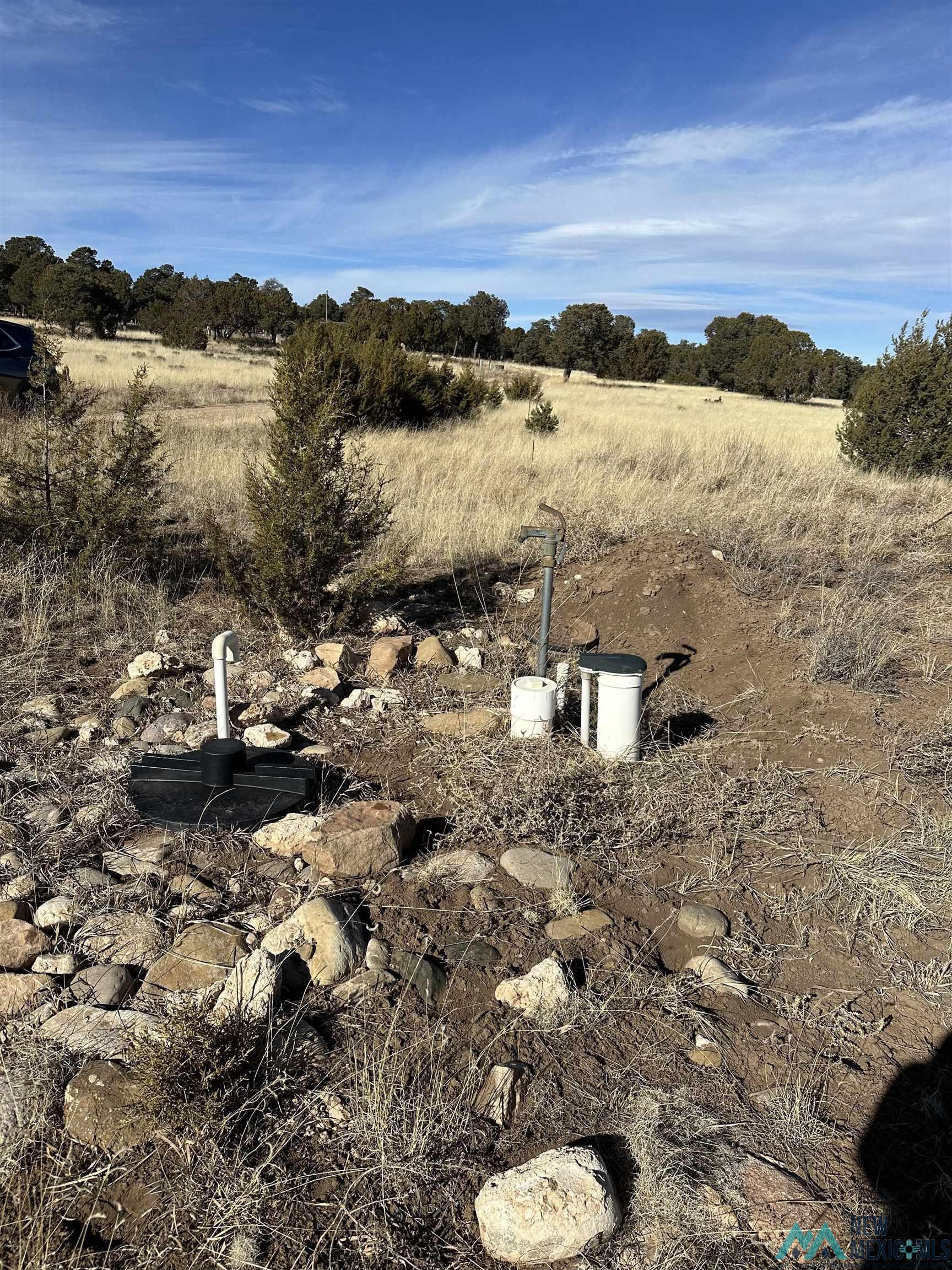 Lot 1A Tierra De Dios, Rowe, Texas image 8