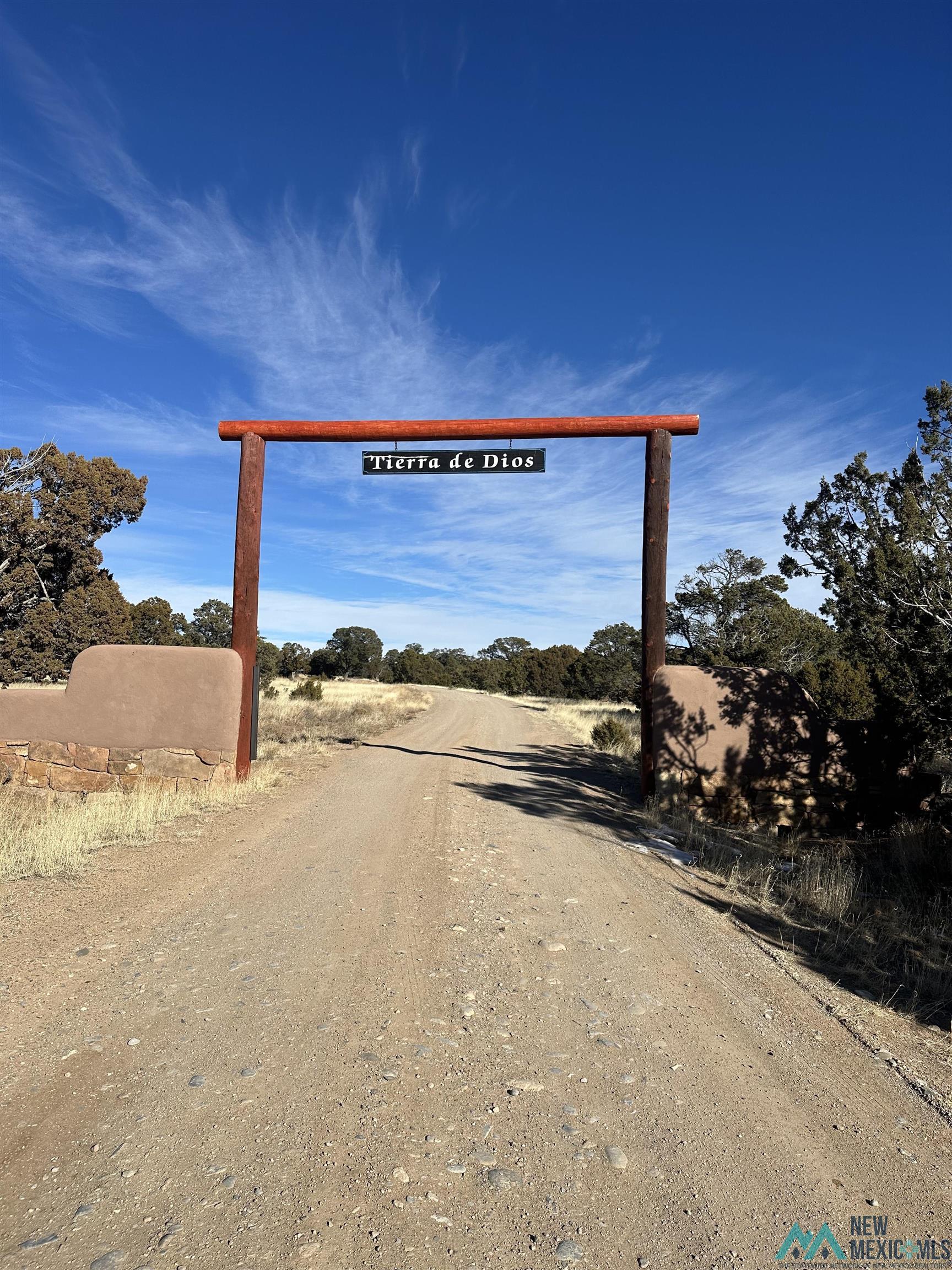 Lot 1A Tierra De Dios, Rowe, Texas image 1