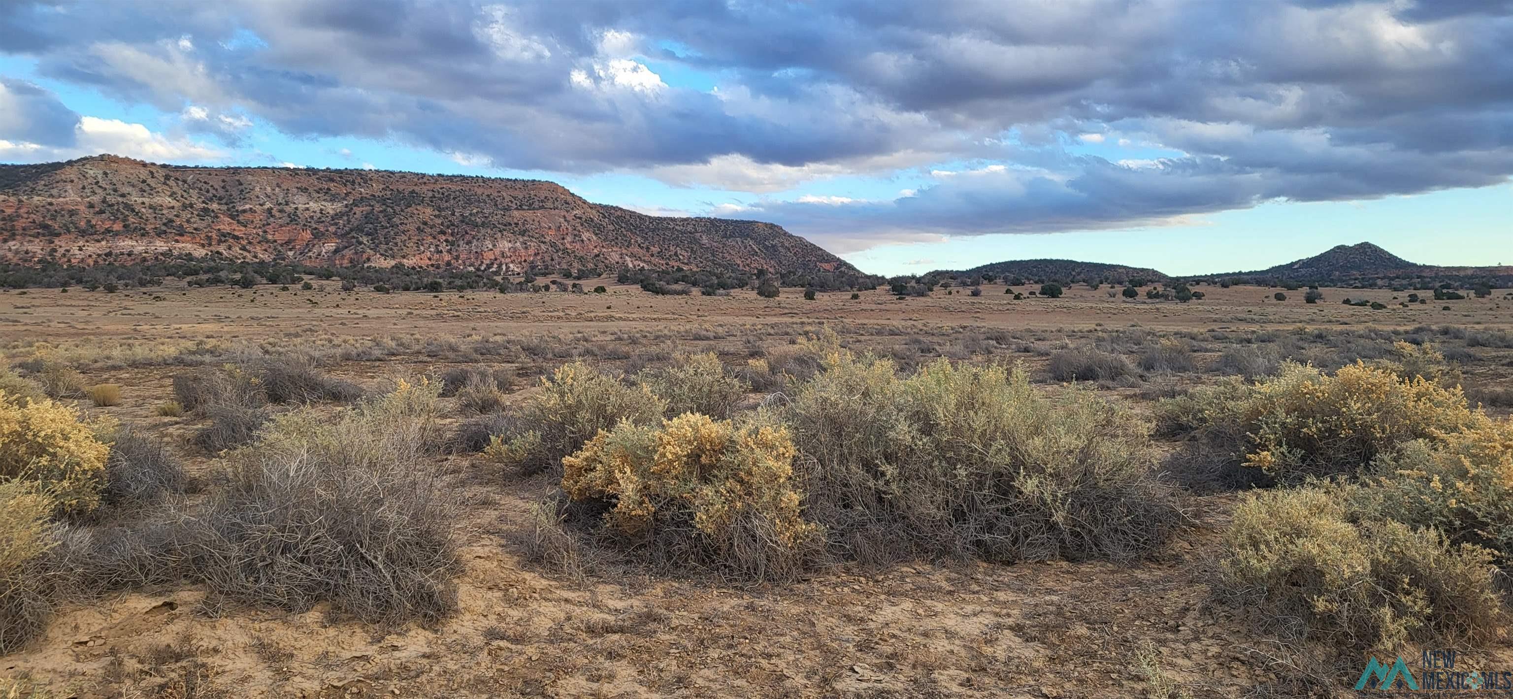 Lot 1 Red Canyon Ranches, Prewitt, New Mexico image 19