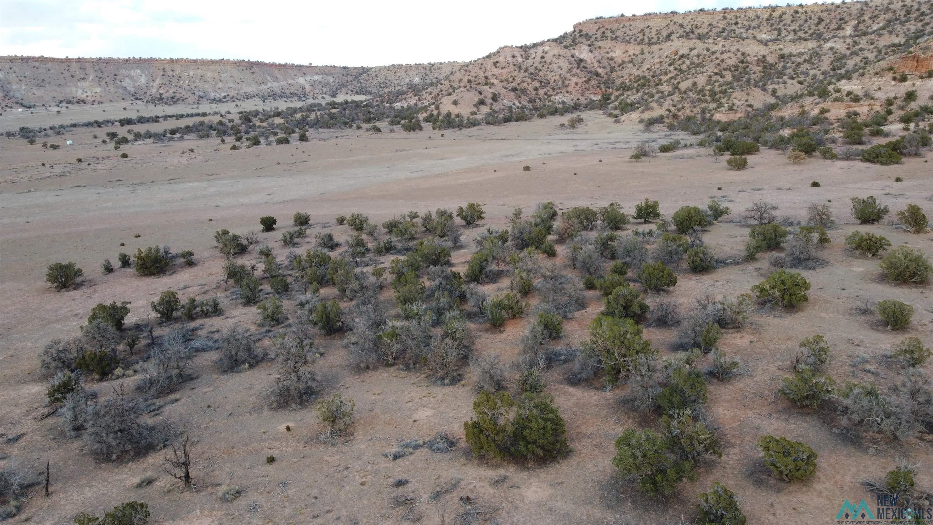 Lot 1 Red Canyon Ranches, Prewitt, New Mexico image 27