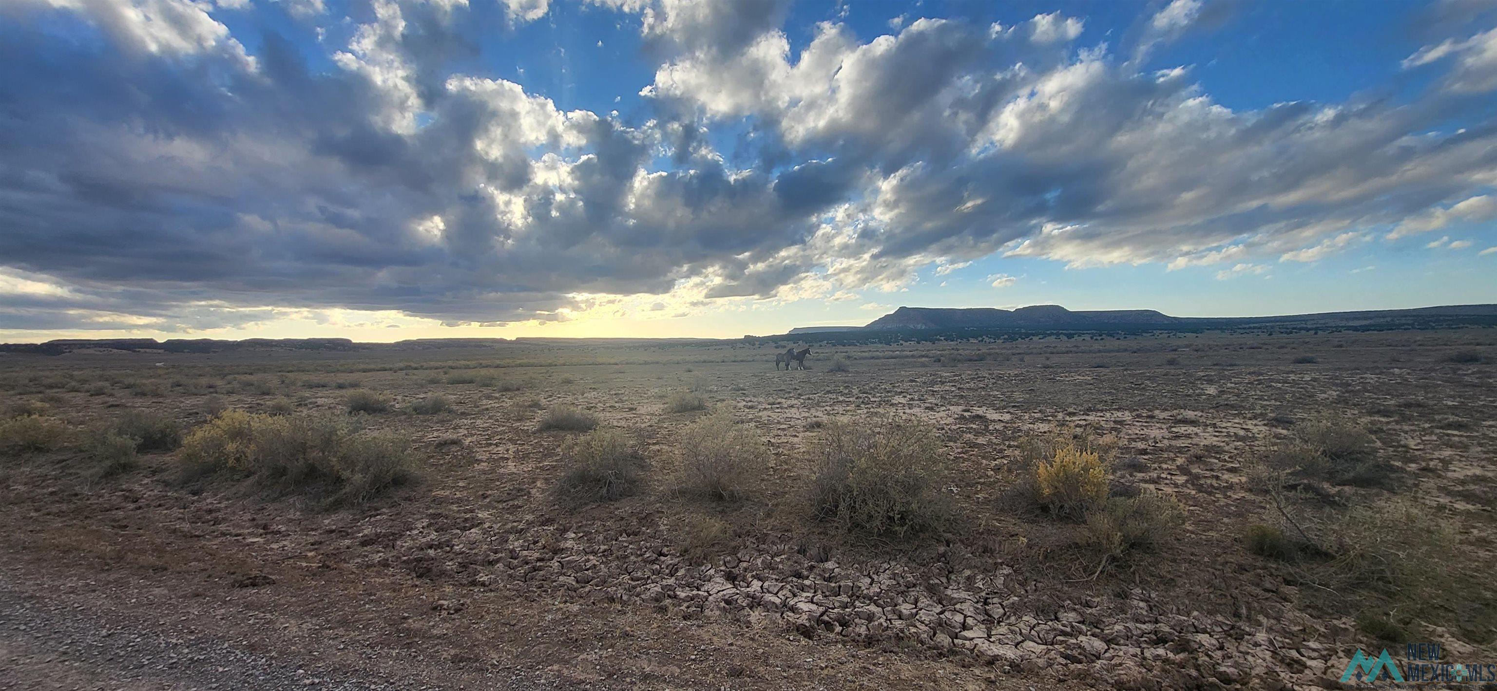 Lot 1 Red Canyon Ranches, Prewitt, New Mexico image 15