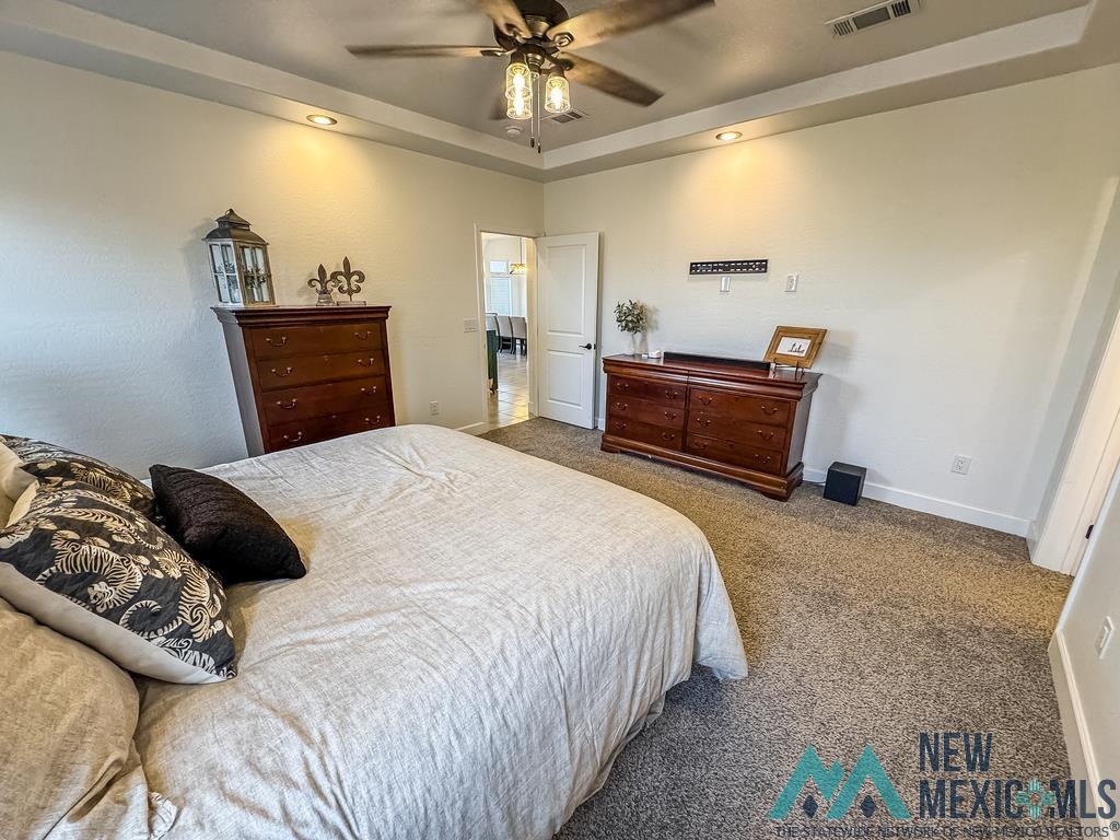 1720 W Rain, Hobbs, New Mexico image 17