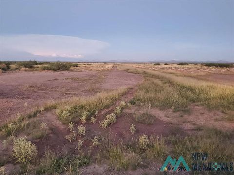 Vacant Land For Sale - 00 Palo Verde Rd Se Road<br/> Deming, NM 88030