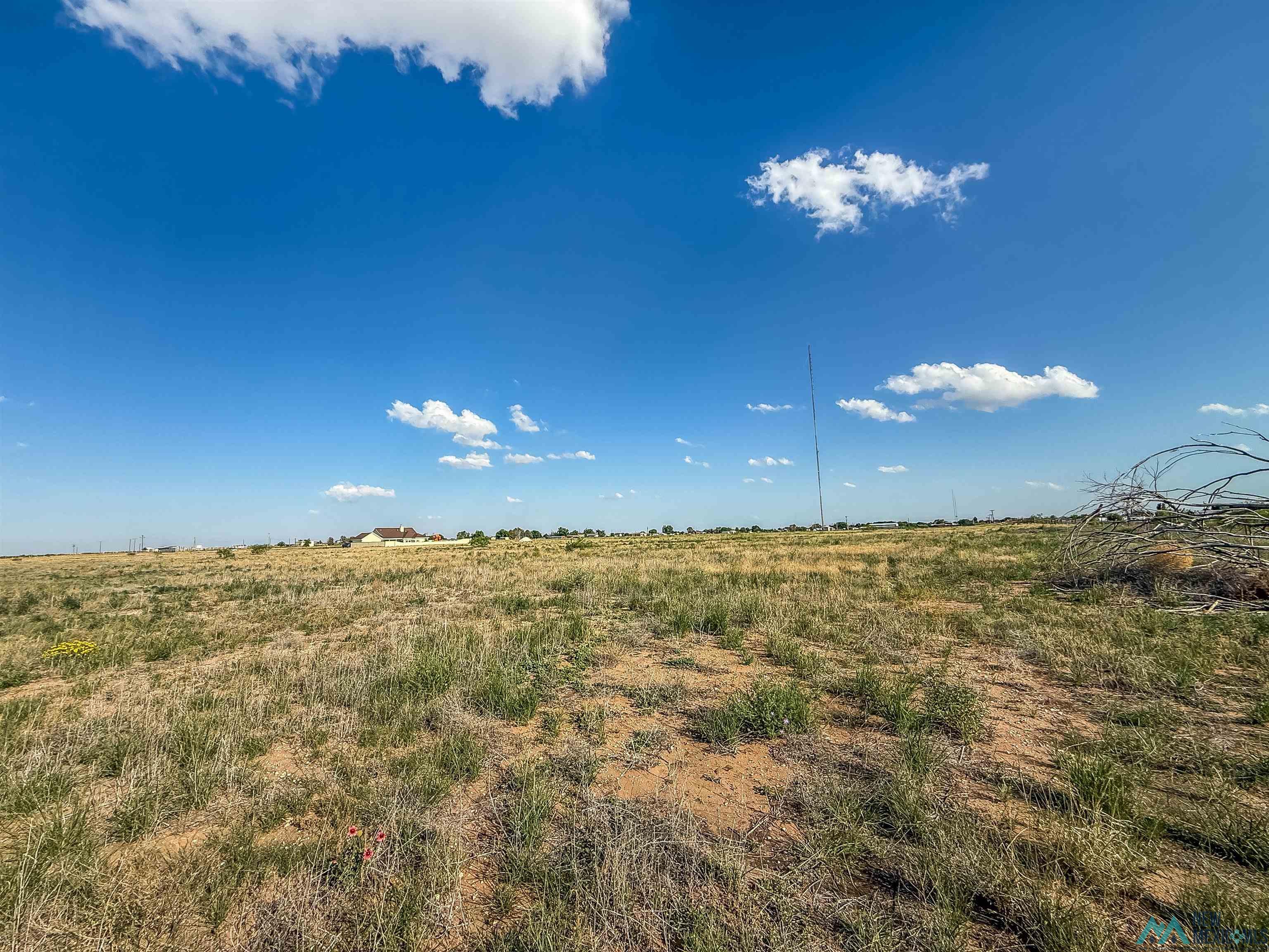 7815 N Kornegay Road, Hobbs, Texas image 42