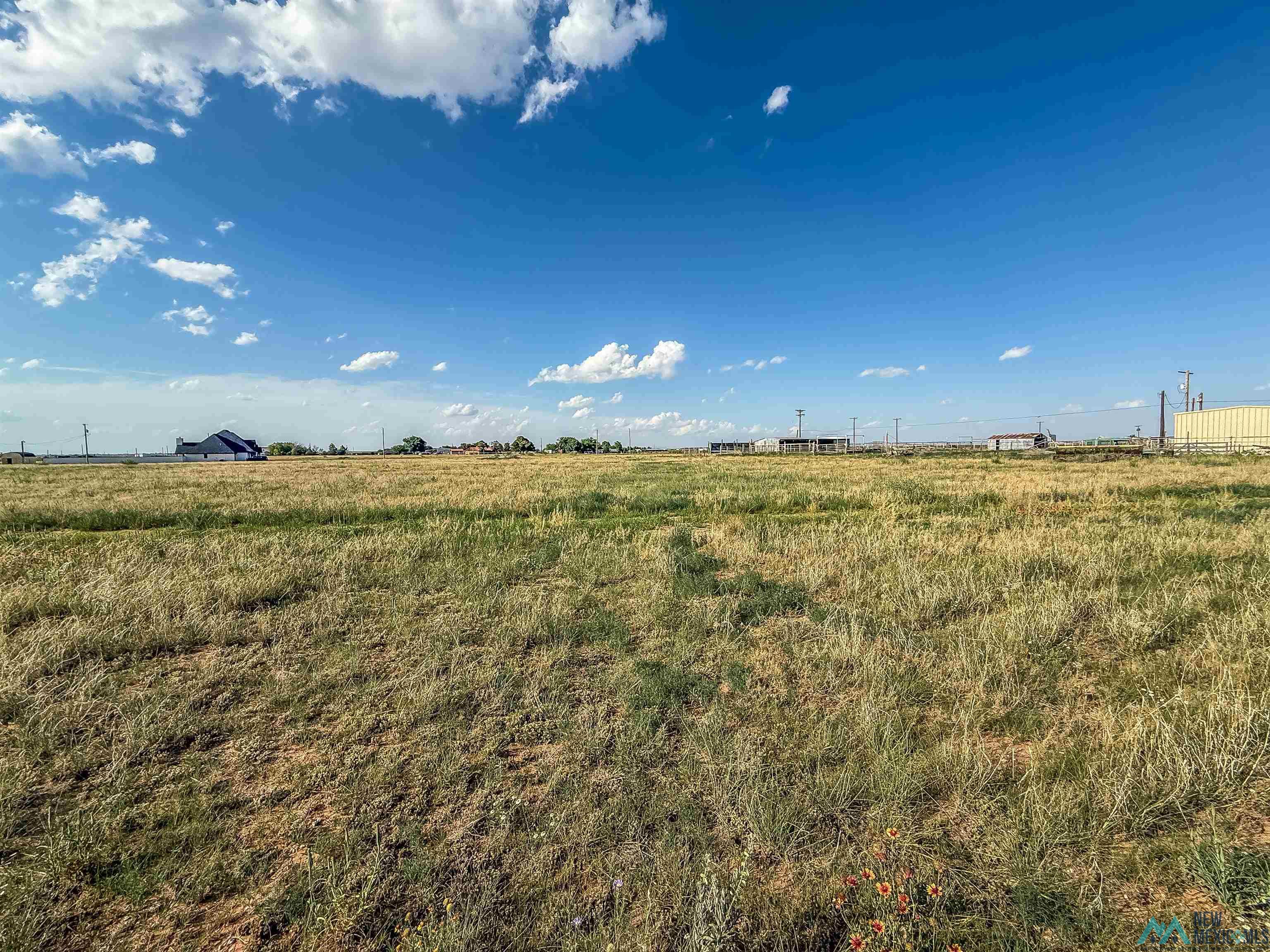 7815 N Kornegay Road, Hobbs, Texas image 39