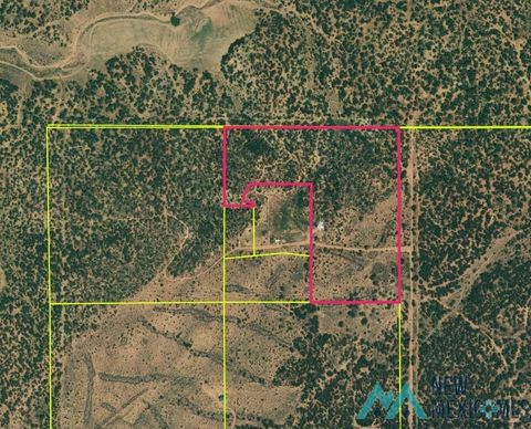 Vacant Land For Sale - 51 Panther Road<br/> Vanderwagen, NM 87301