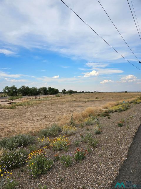 Vacant Land For Sale - 00 E Hobson Road<br/> Chaves County, Roswell, NM 88203