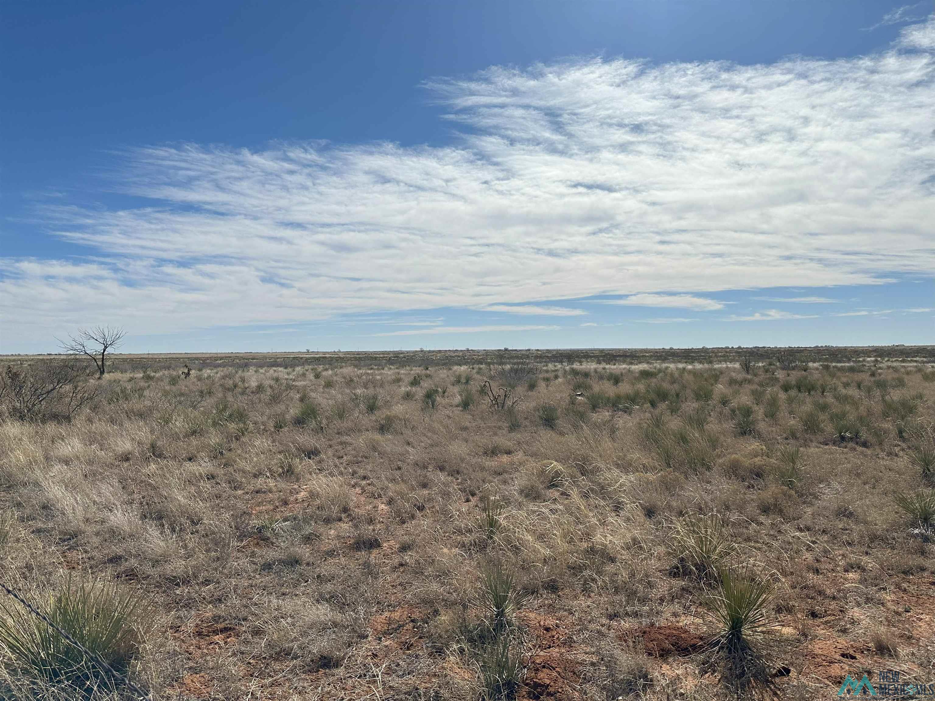 1559 Nm 267 Highway, Floyd, New Mexico image 8