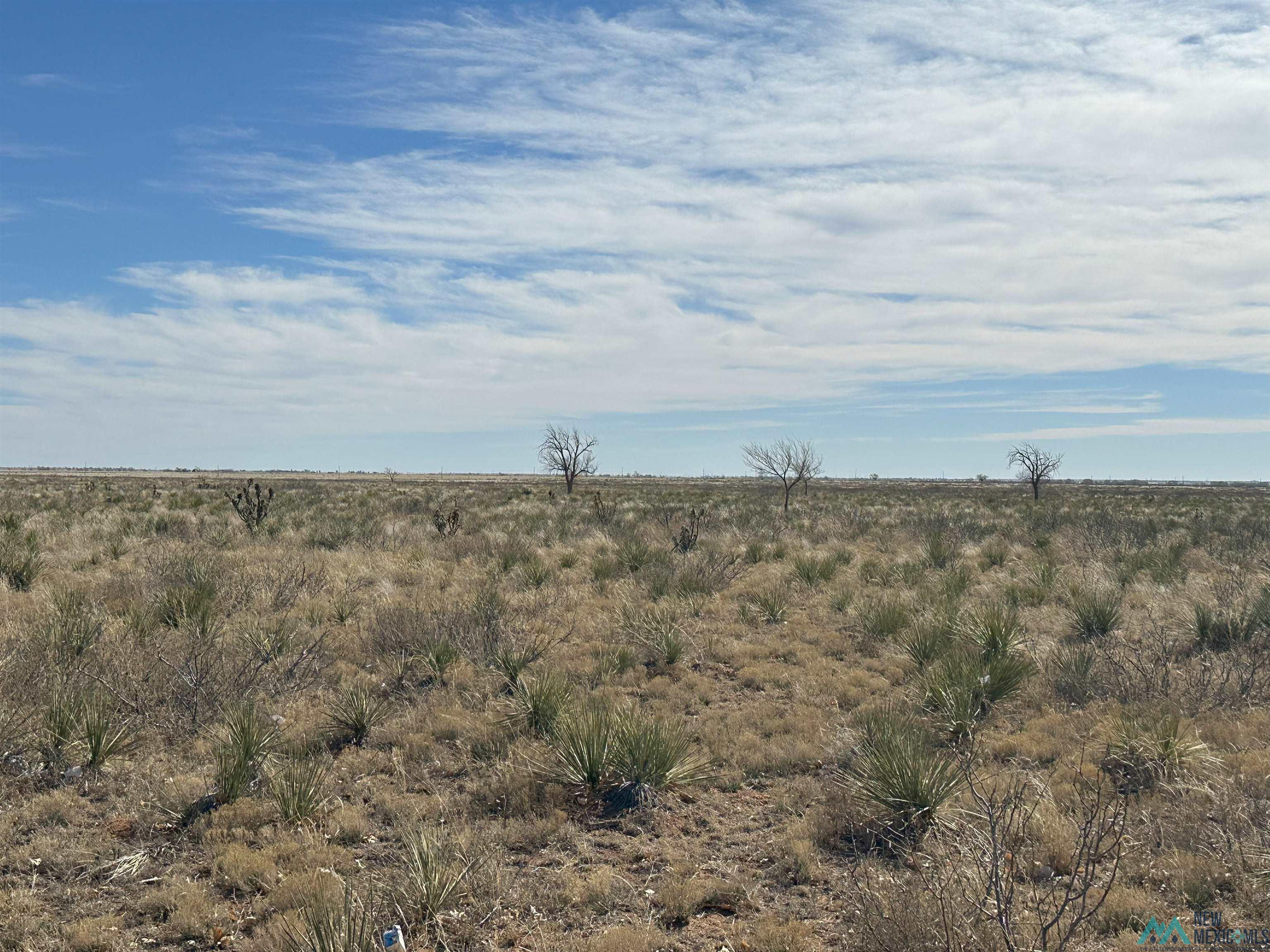 1559 Nm 267 Highway, Floyd, New Mexico image 11